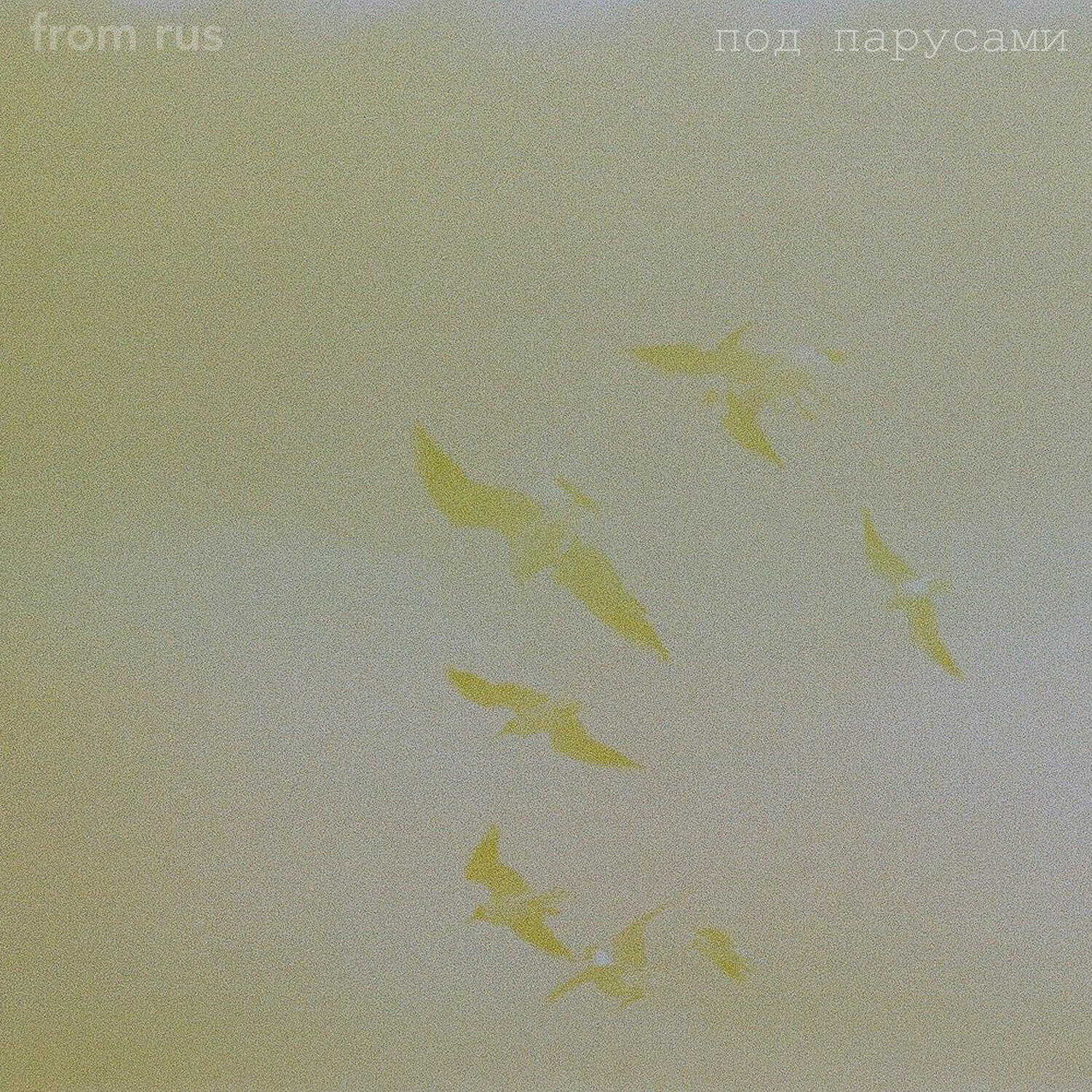 Релиз под парусами