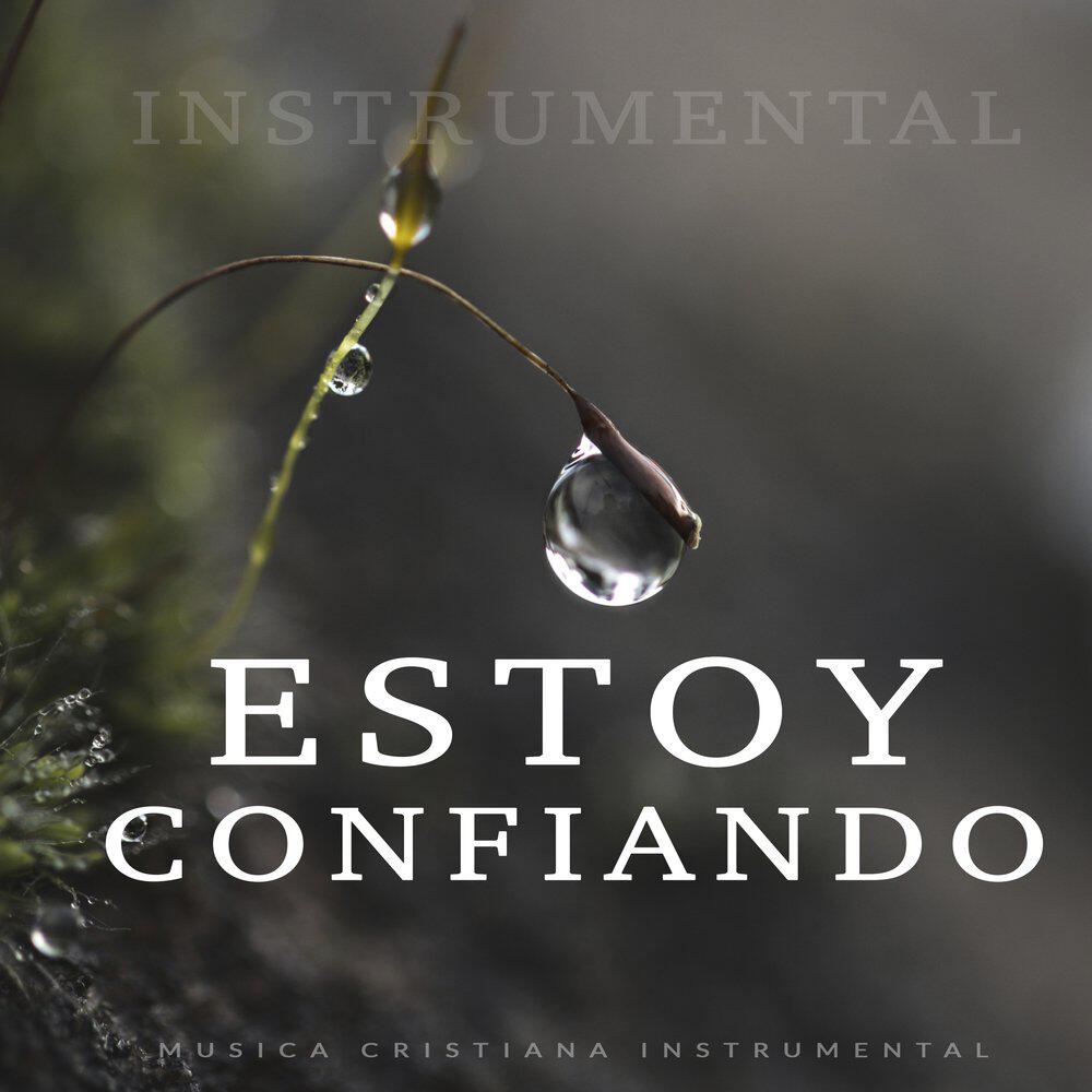 Релиз Estoy Confiando
