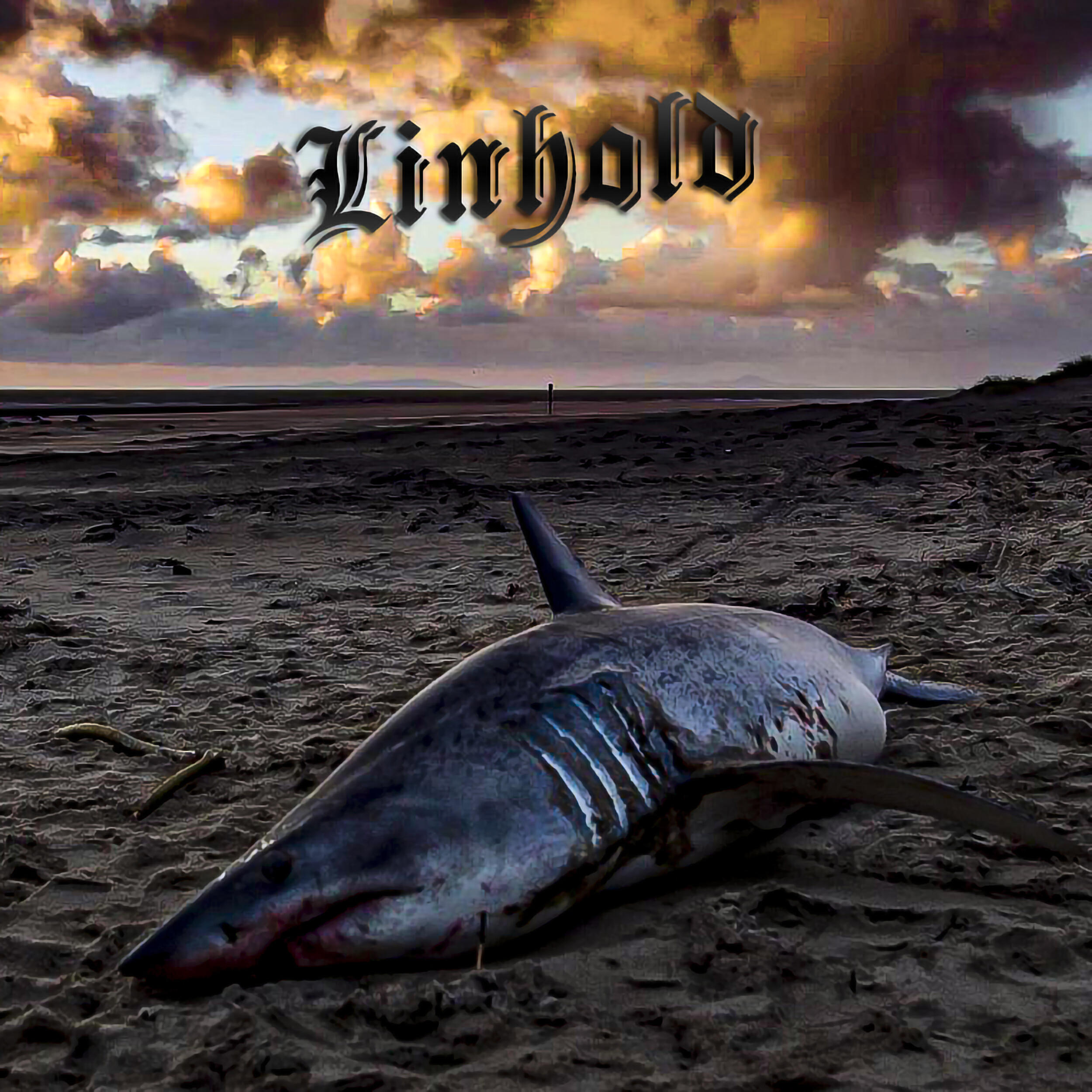 Релиз Shark Week, Pt. Two