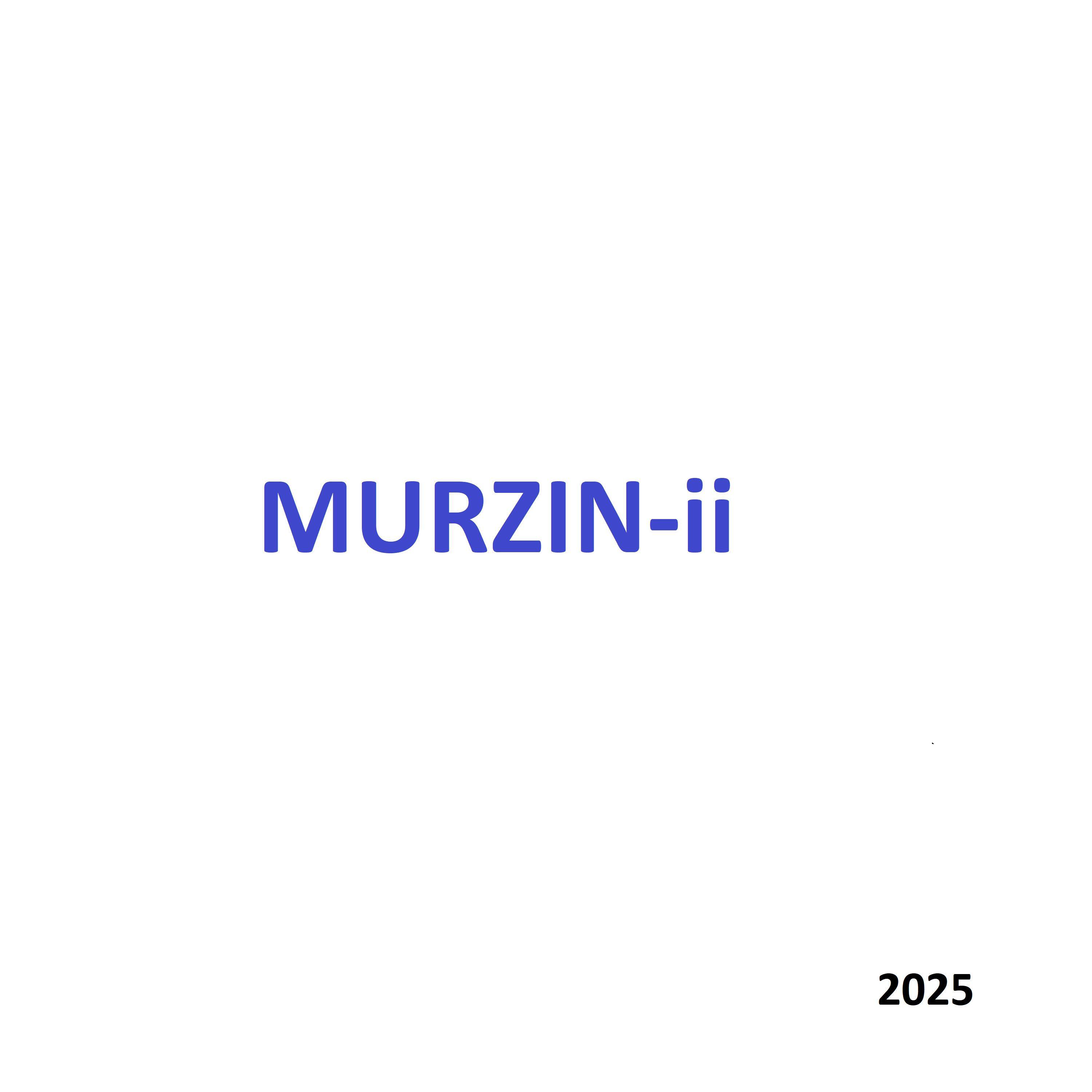 Релиз Murzin-ii