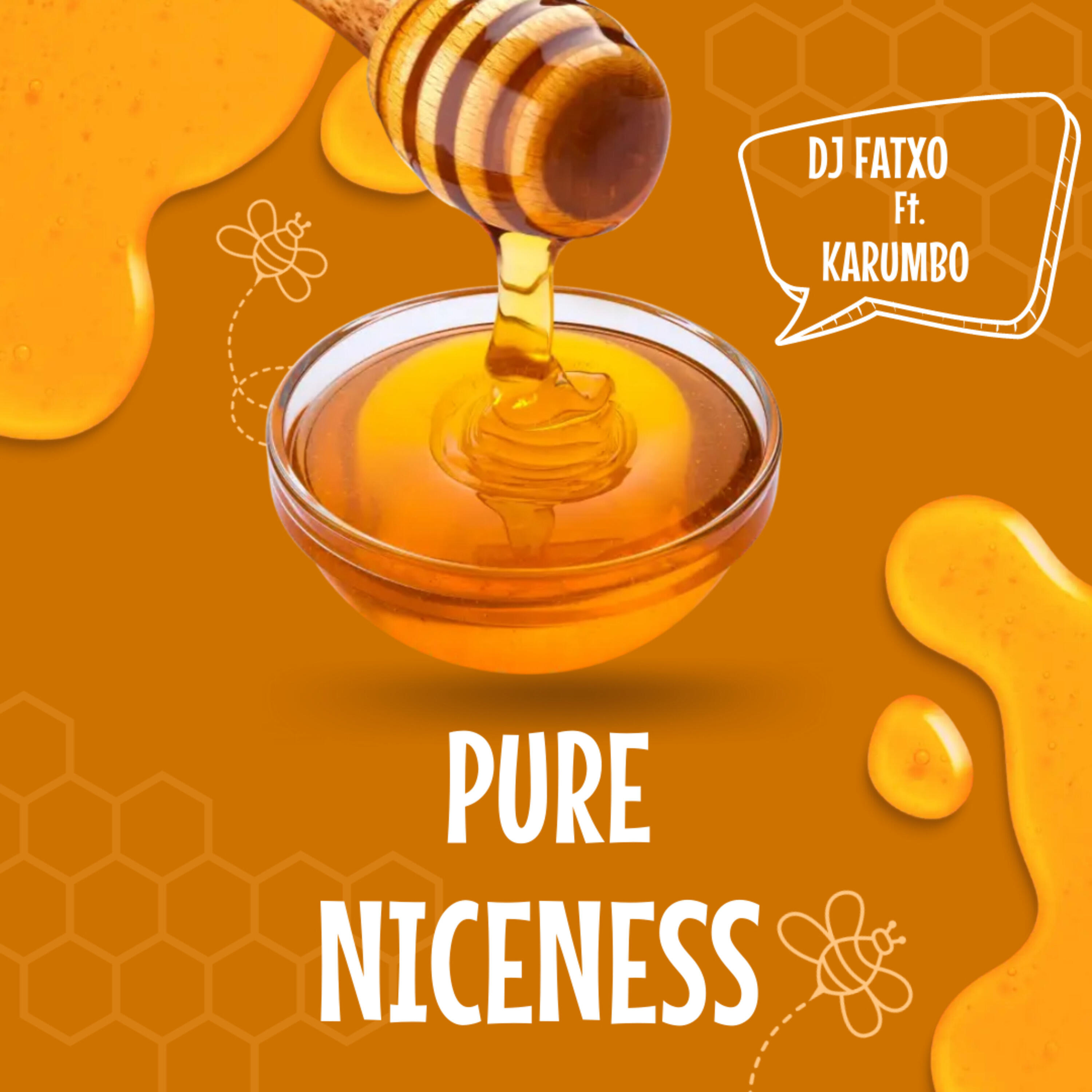 Релиз Pure Niceness