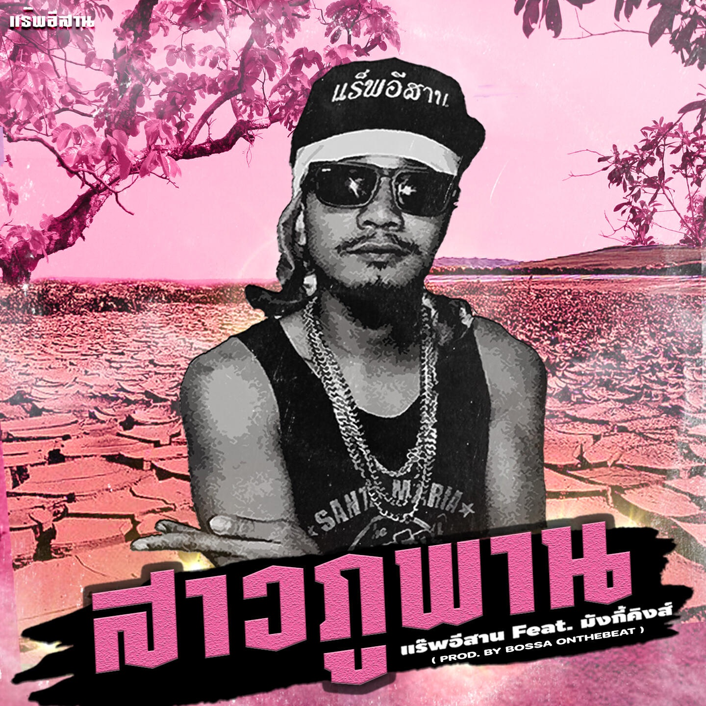 Релиз สาวภูพาน