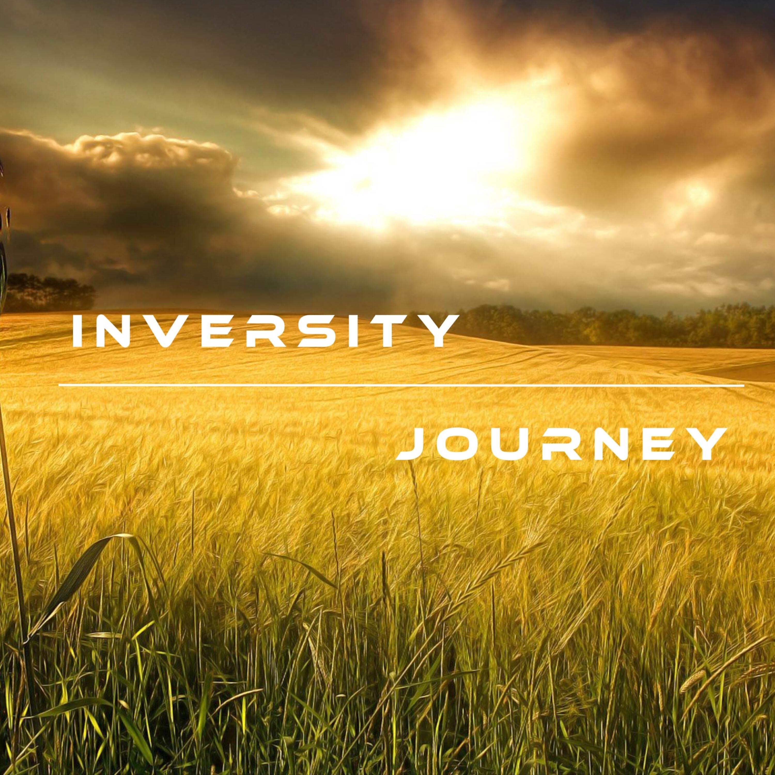 Inversity