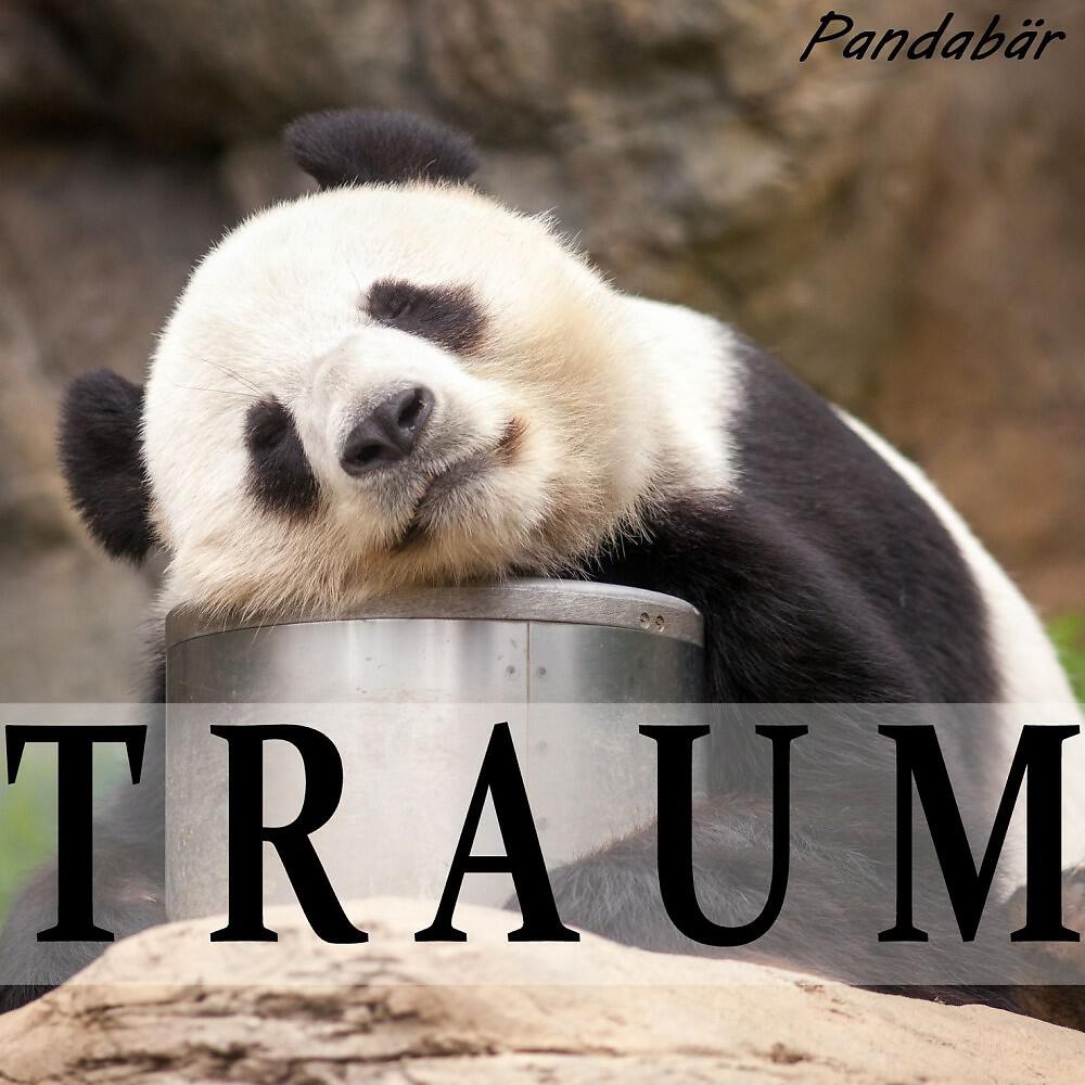 Pandabär