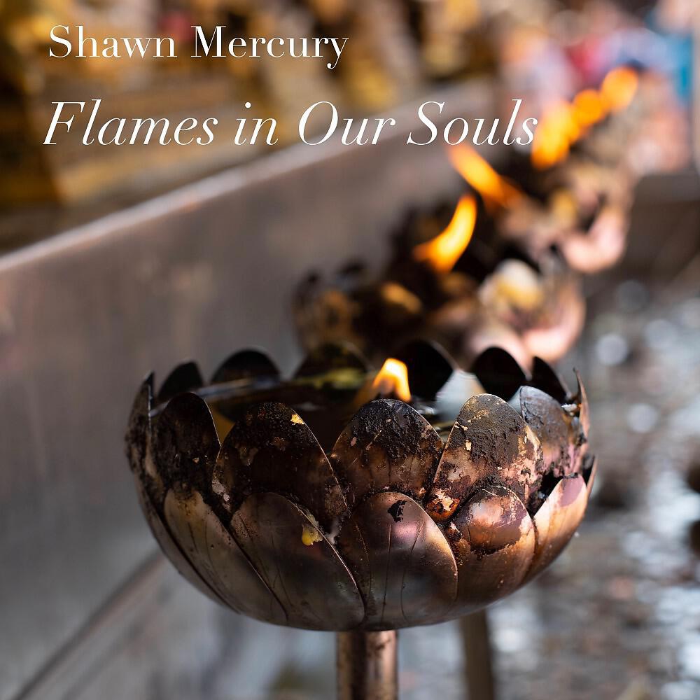 Shawn Mercury