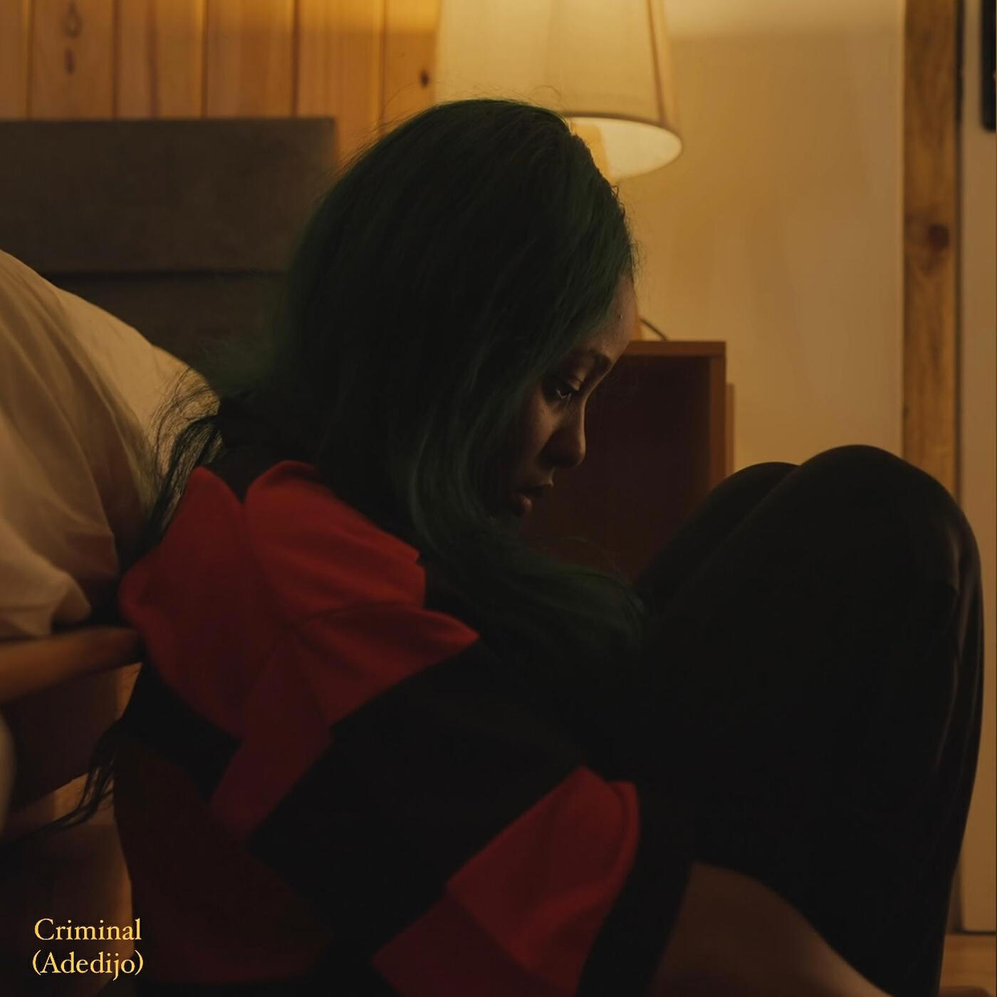 Релиз Criminal (Adedijo)