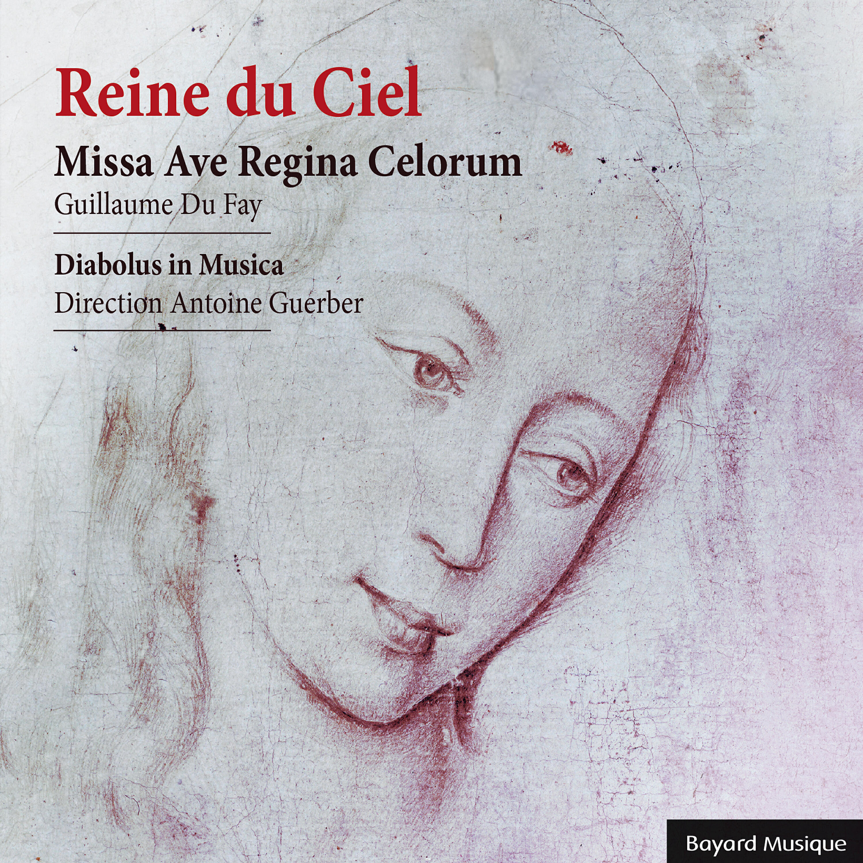 Ensemble Diabolus In Musica