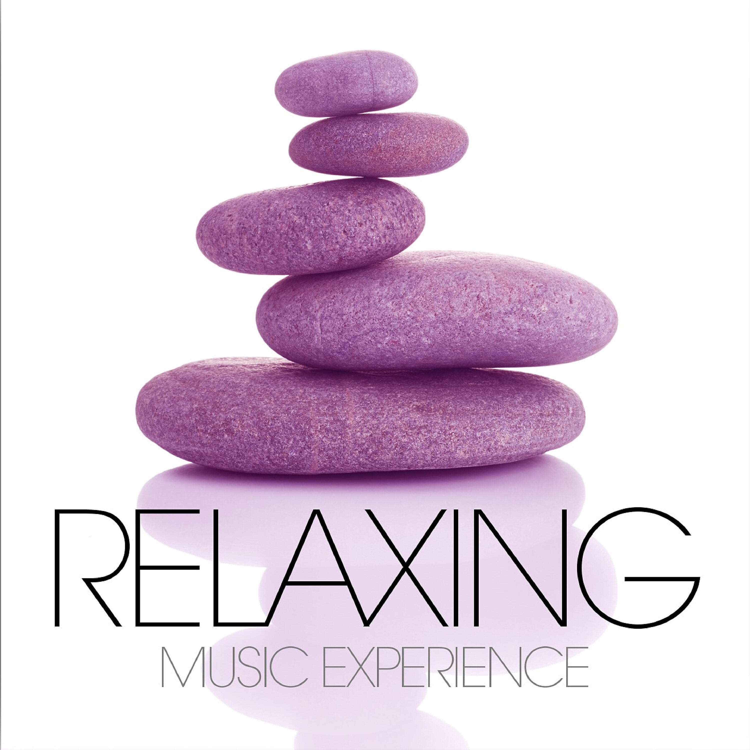Релиз Relaxing Music Experience