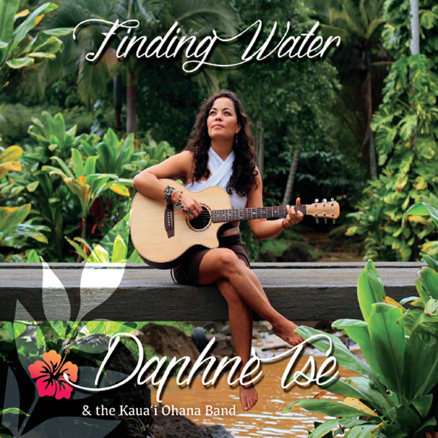 The Kaua'i Ohana Band