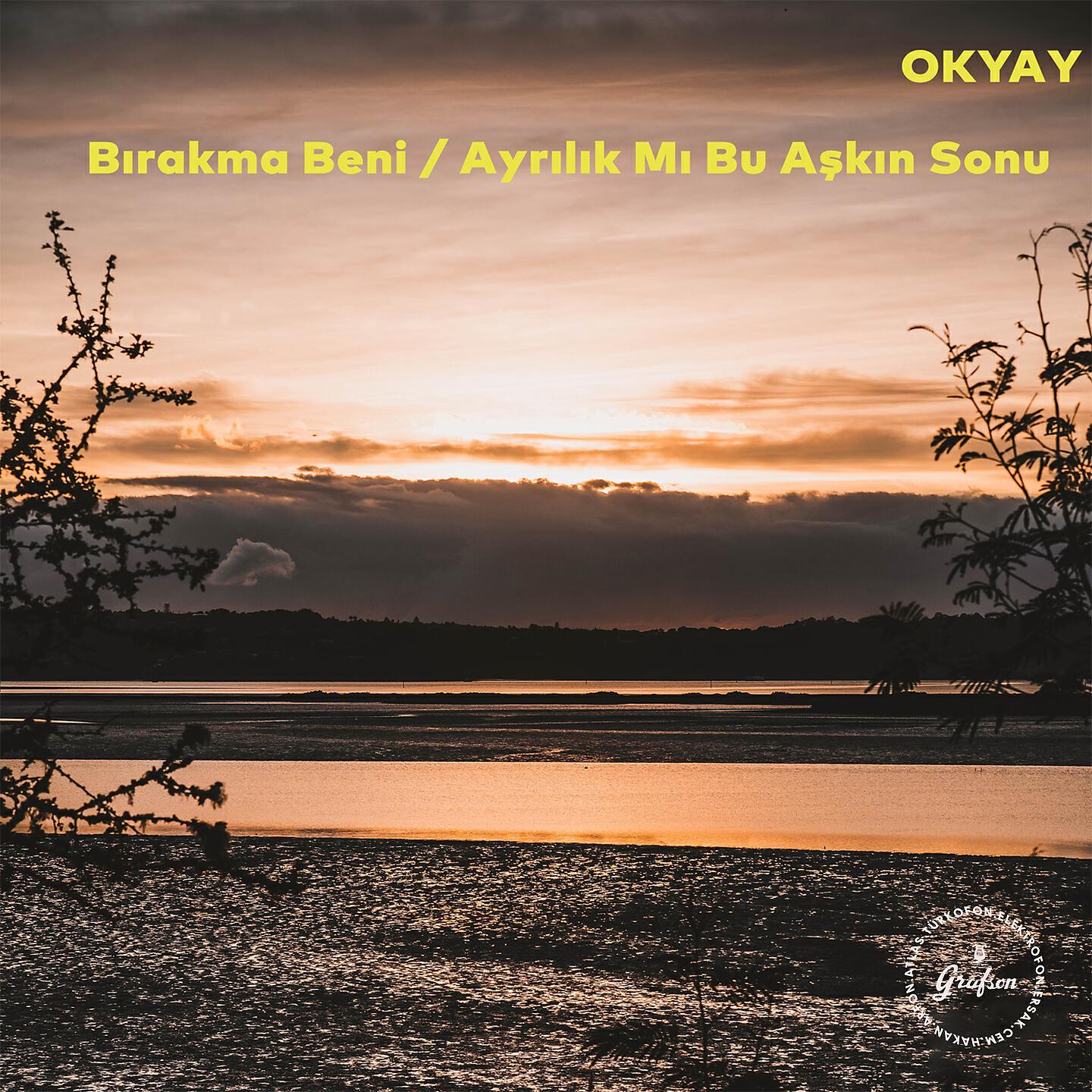 Релиз Bırakma Beni / Ayrılık Mı Bu Aşkın Sonu