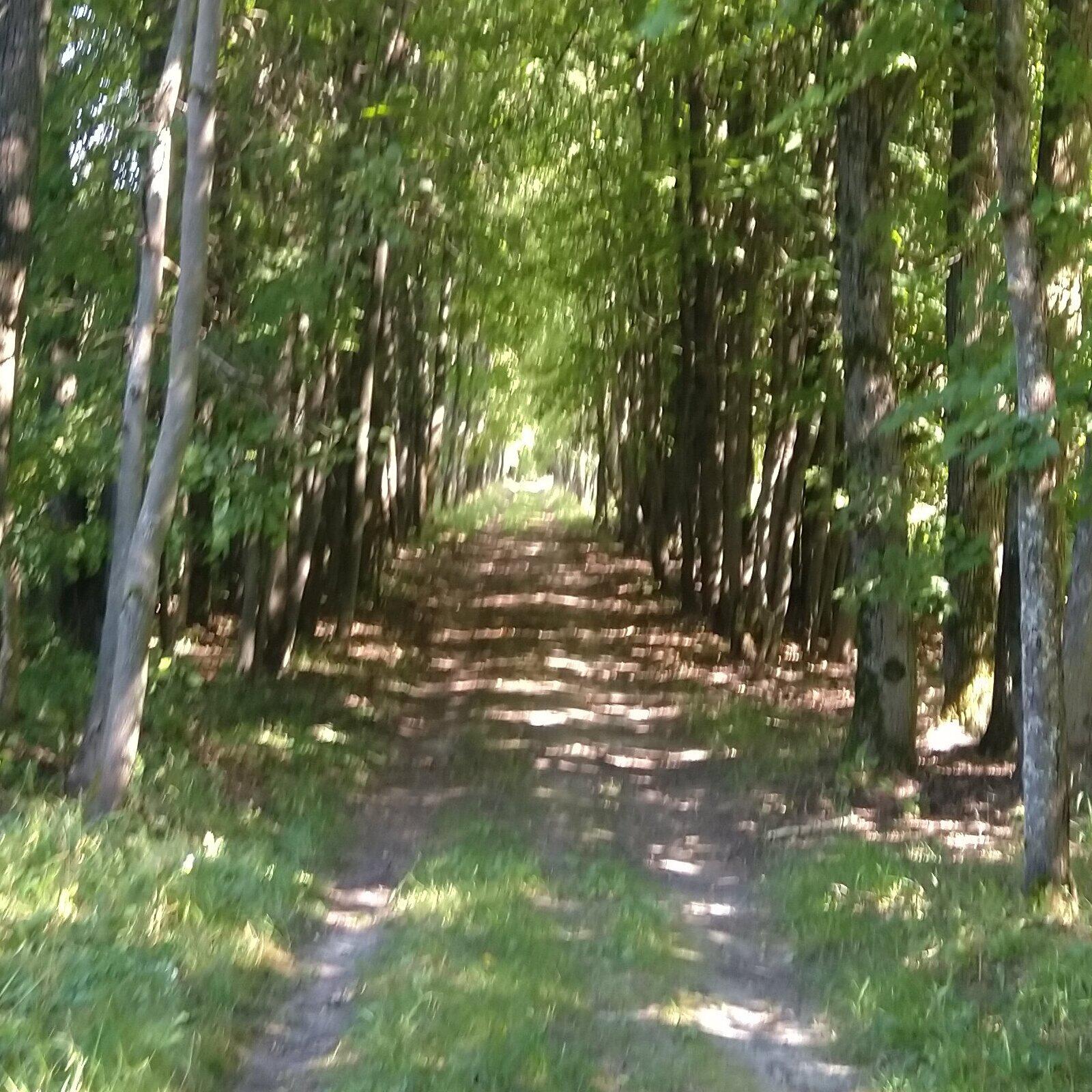 Релиз А в парке...