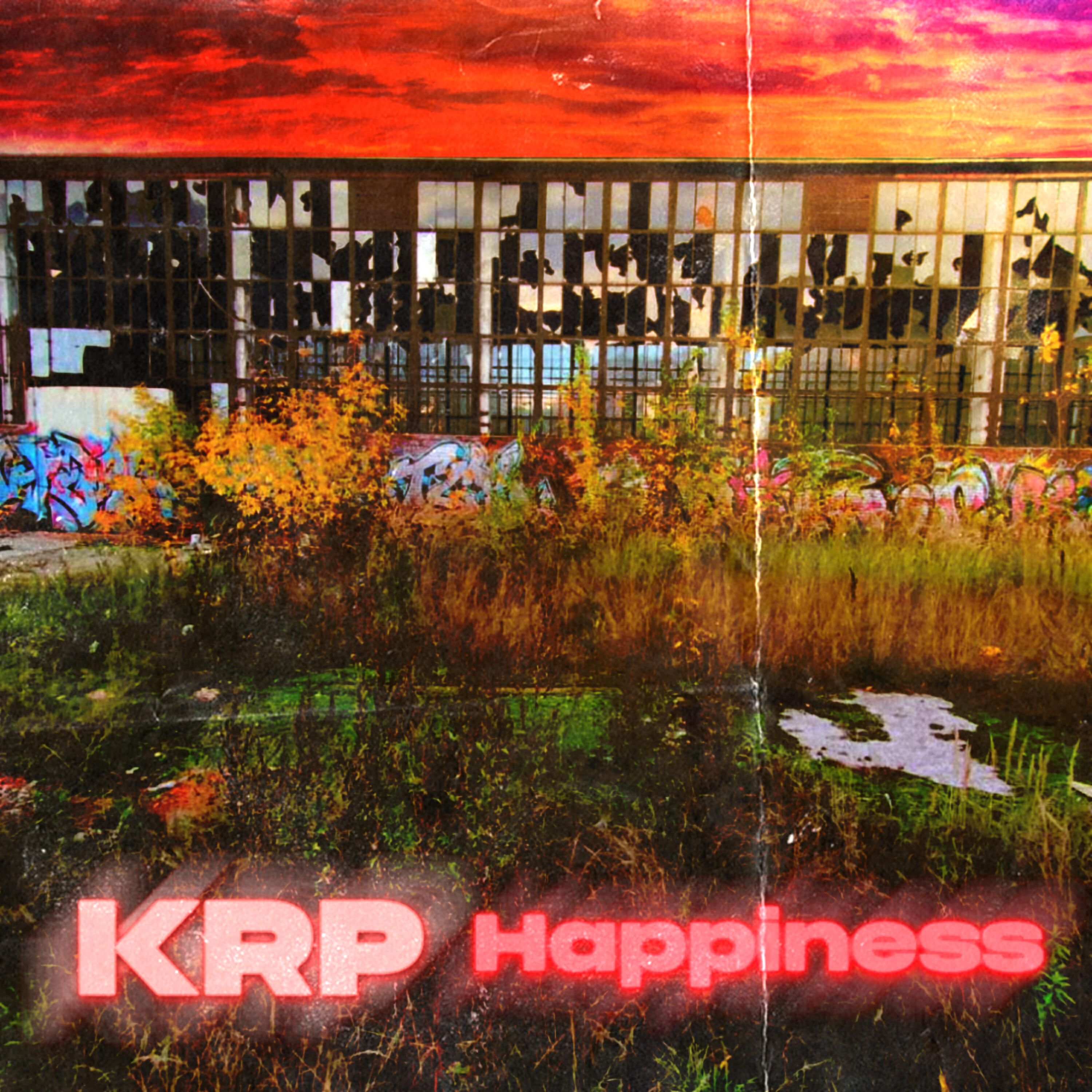 Постер альбома Happiness