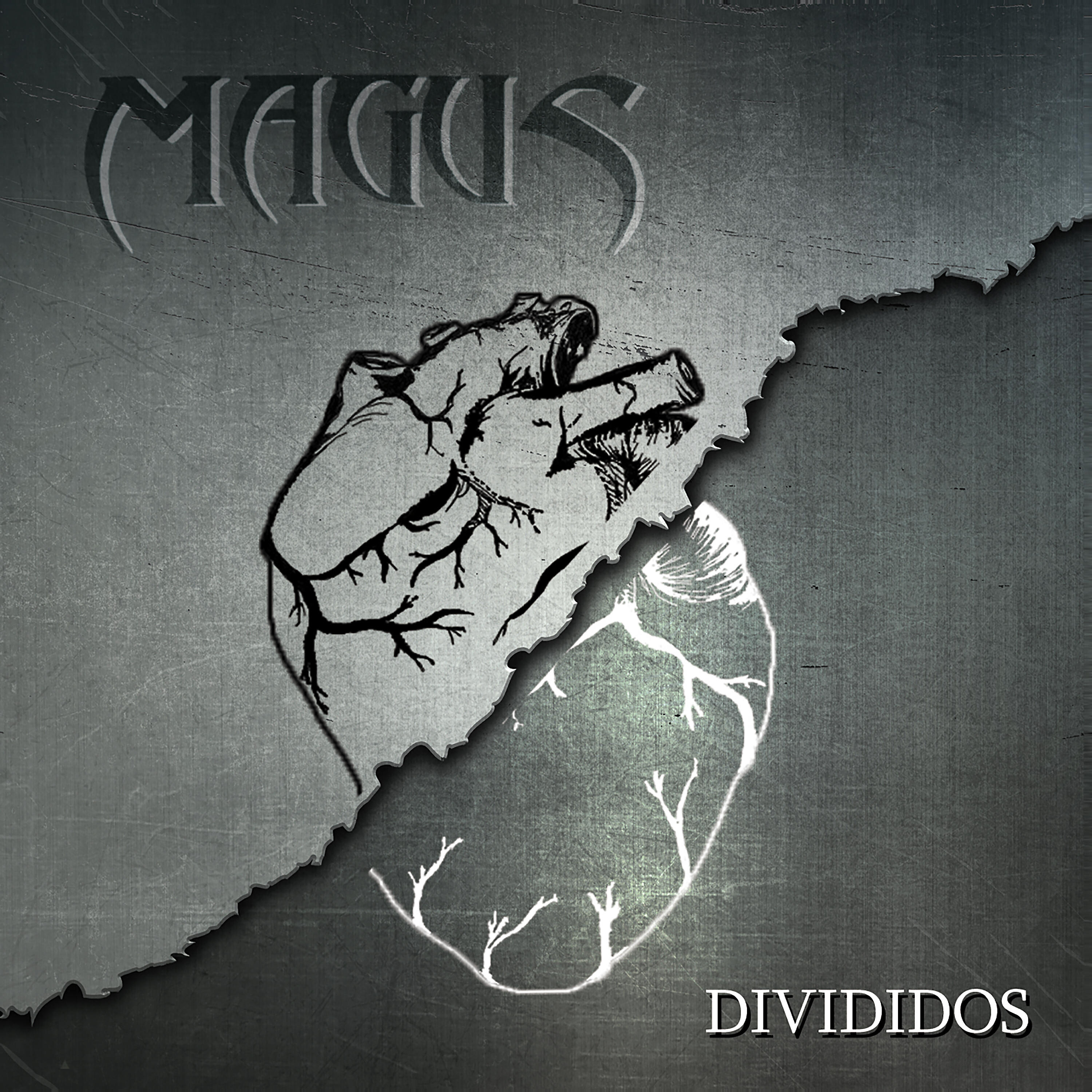 Релиз Divididos