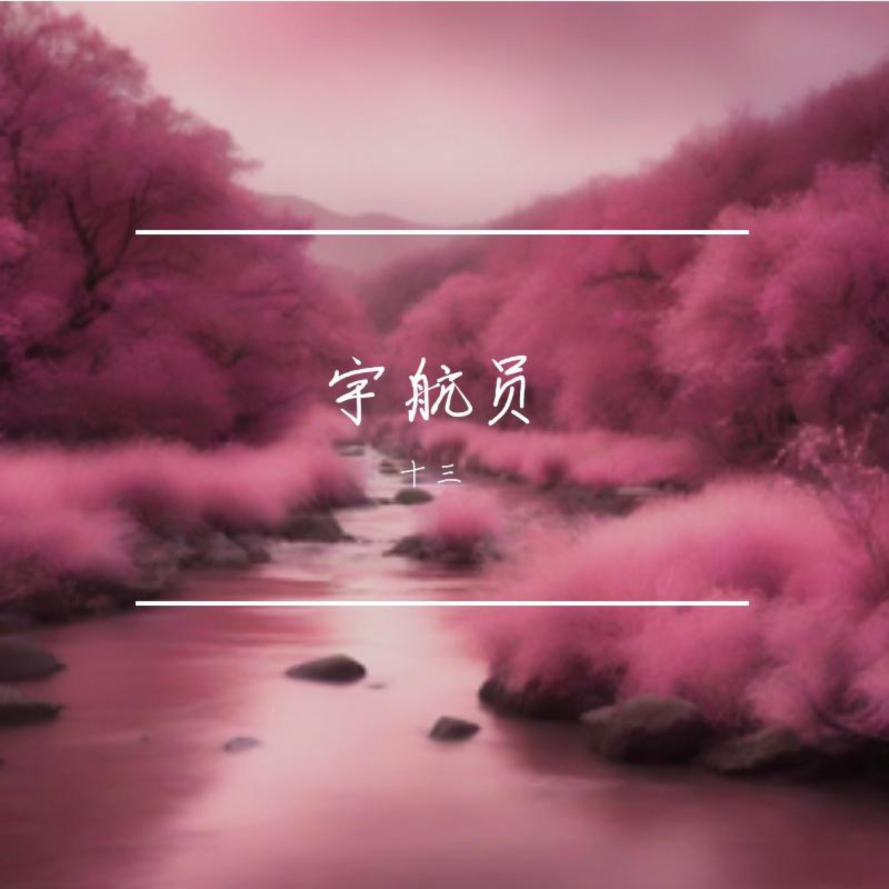 Релиз 宇航员