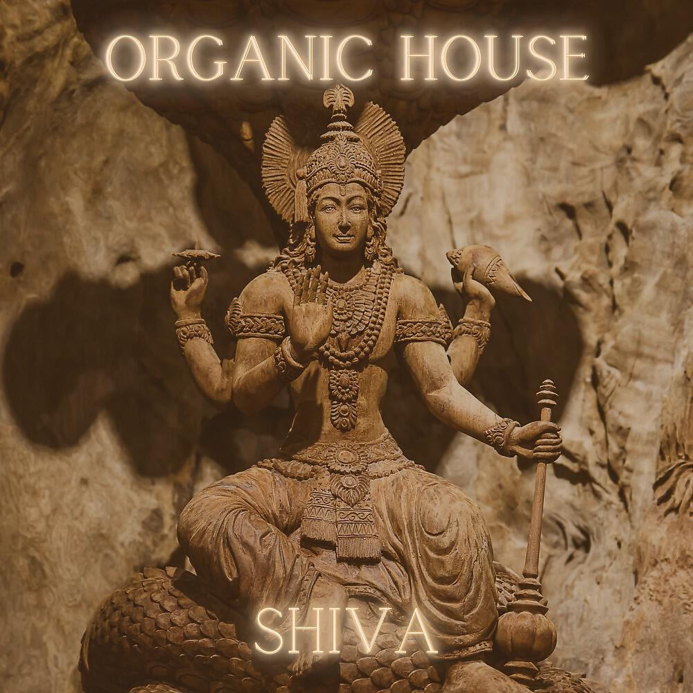 Релиз Organic House - Shiva