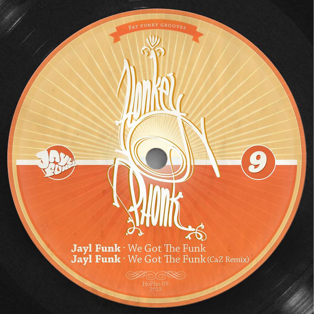 Постер альбома We Got the Funk (Fat Funky Grooves)