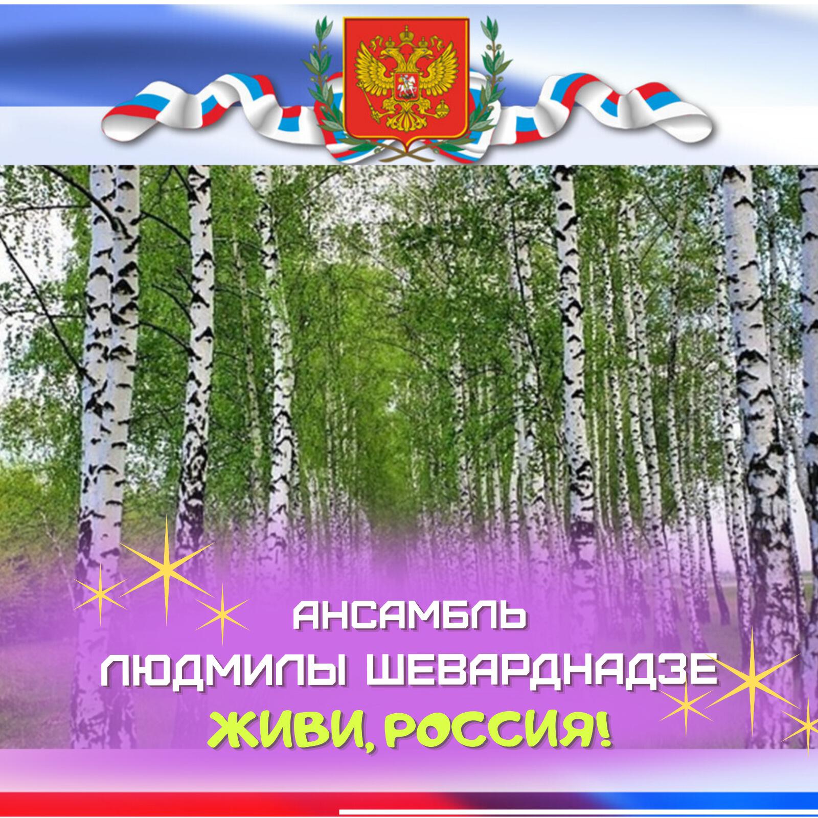 Постер альбома Живи, Россия