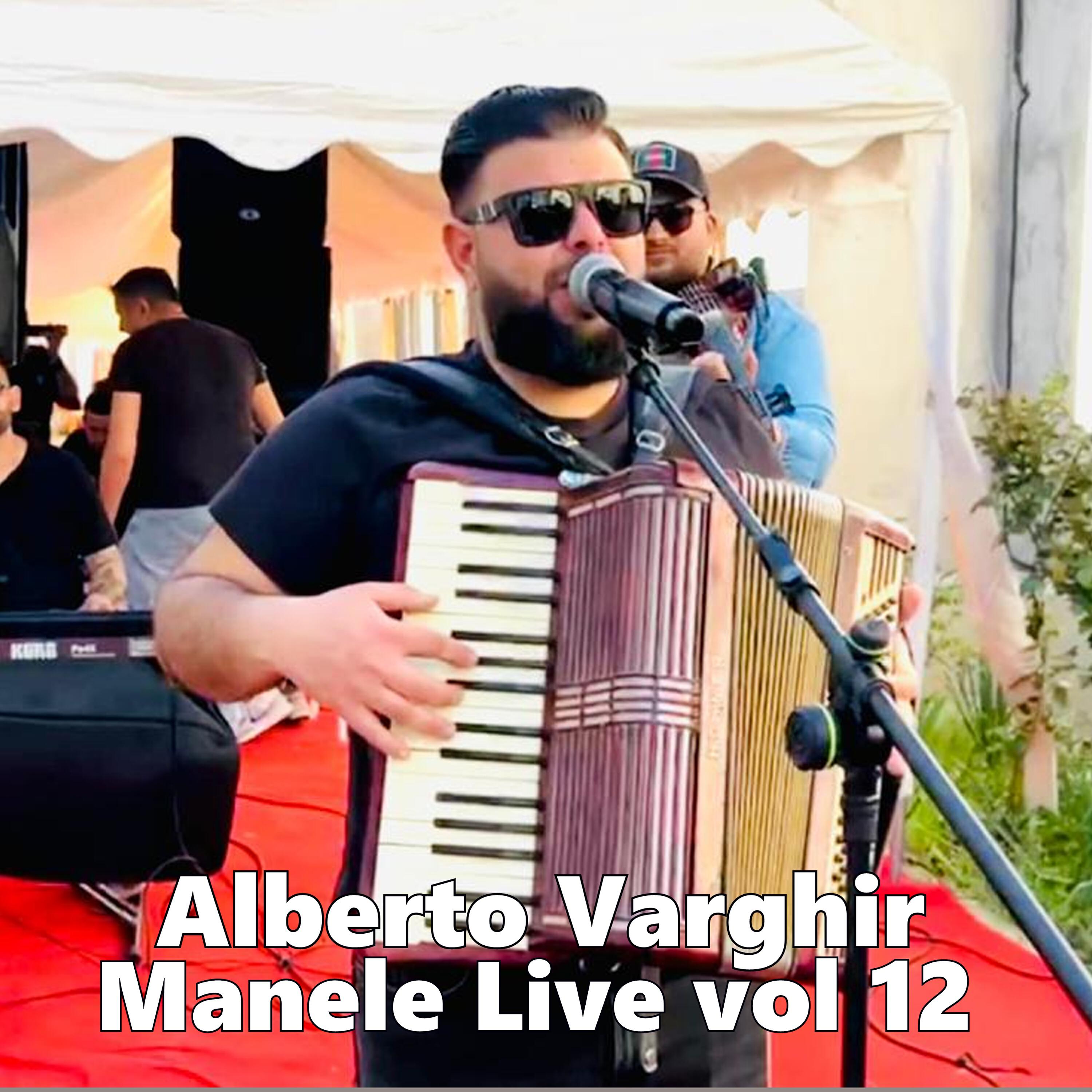 Релиз Manele, Vol. 12