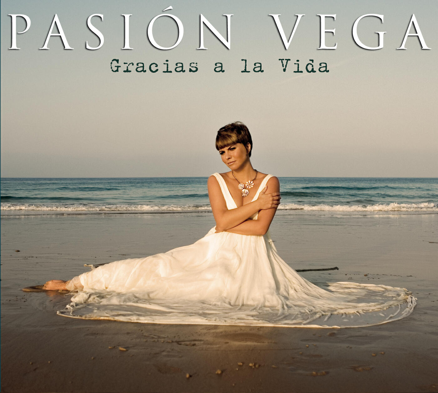 Релиз Gracias A La Vida