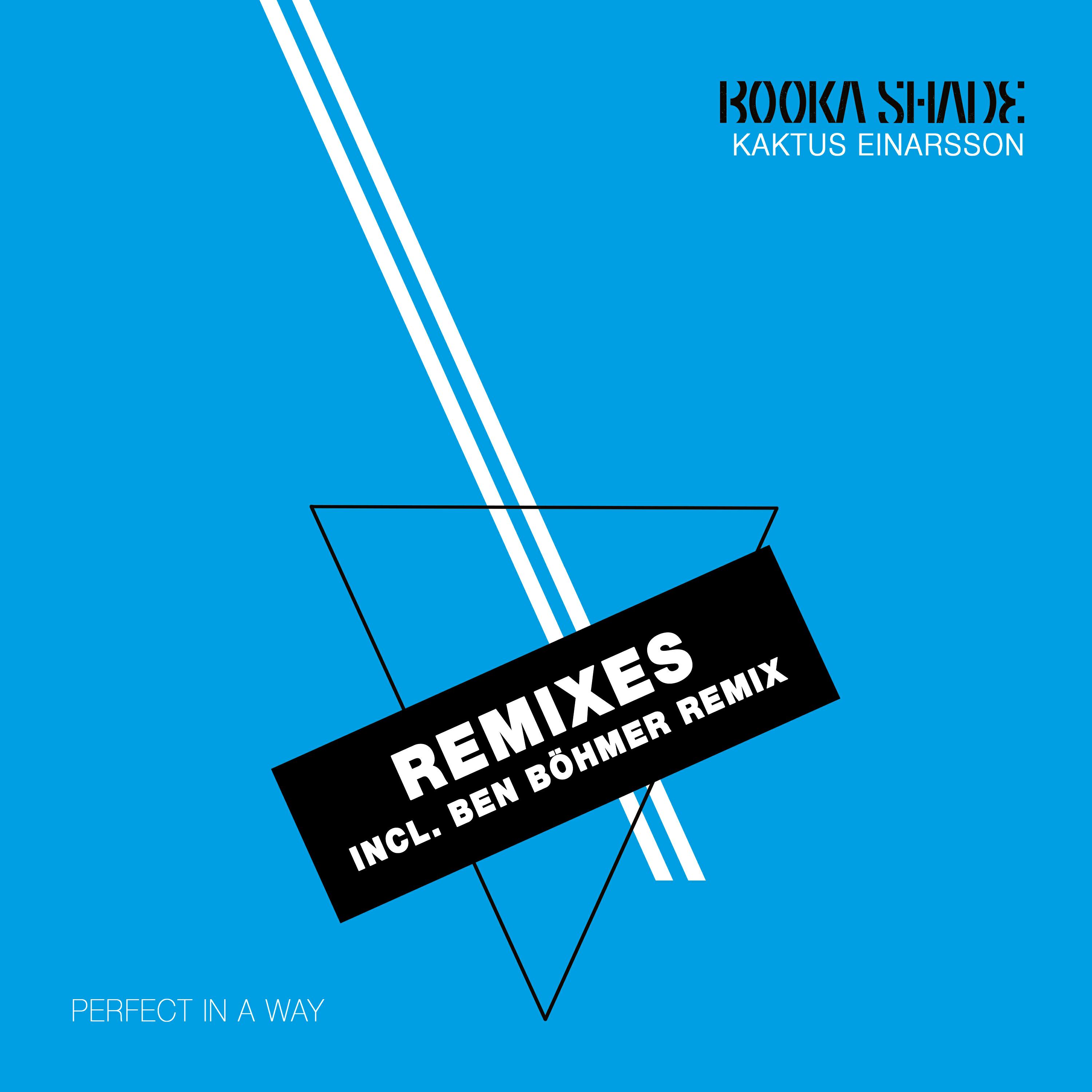 Постер альбома Perfect in a Way (Remixes)