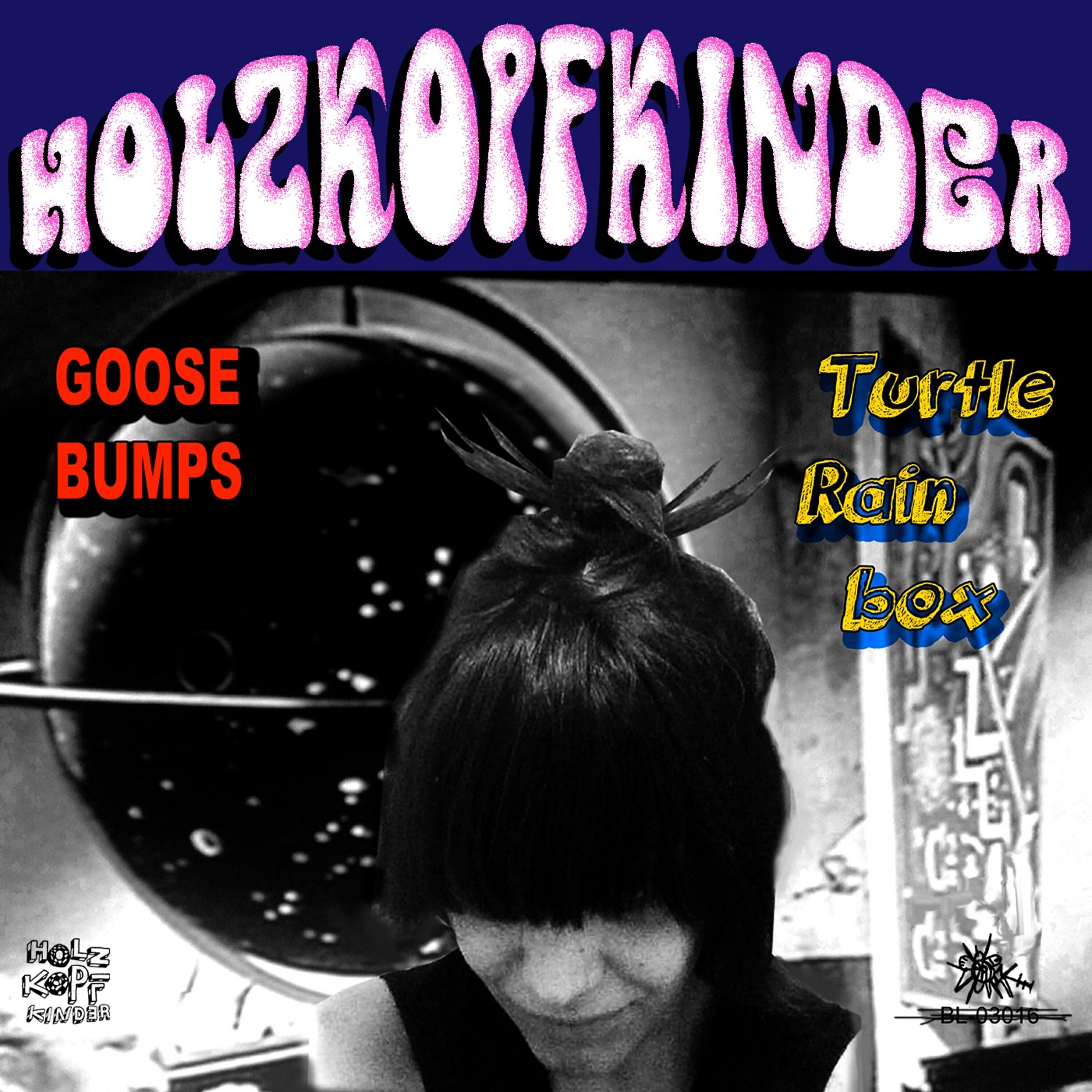 Релиз Goose Bumps Turtle Rainbox