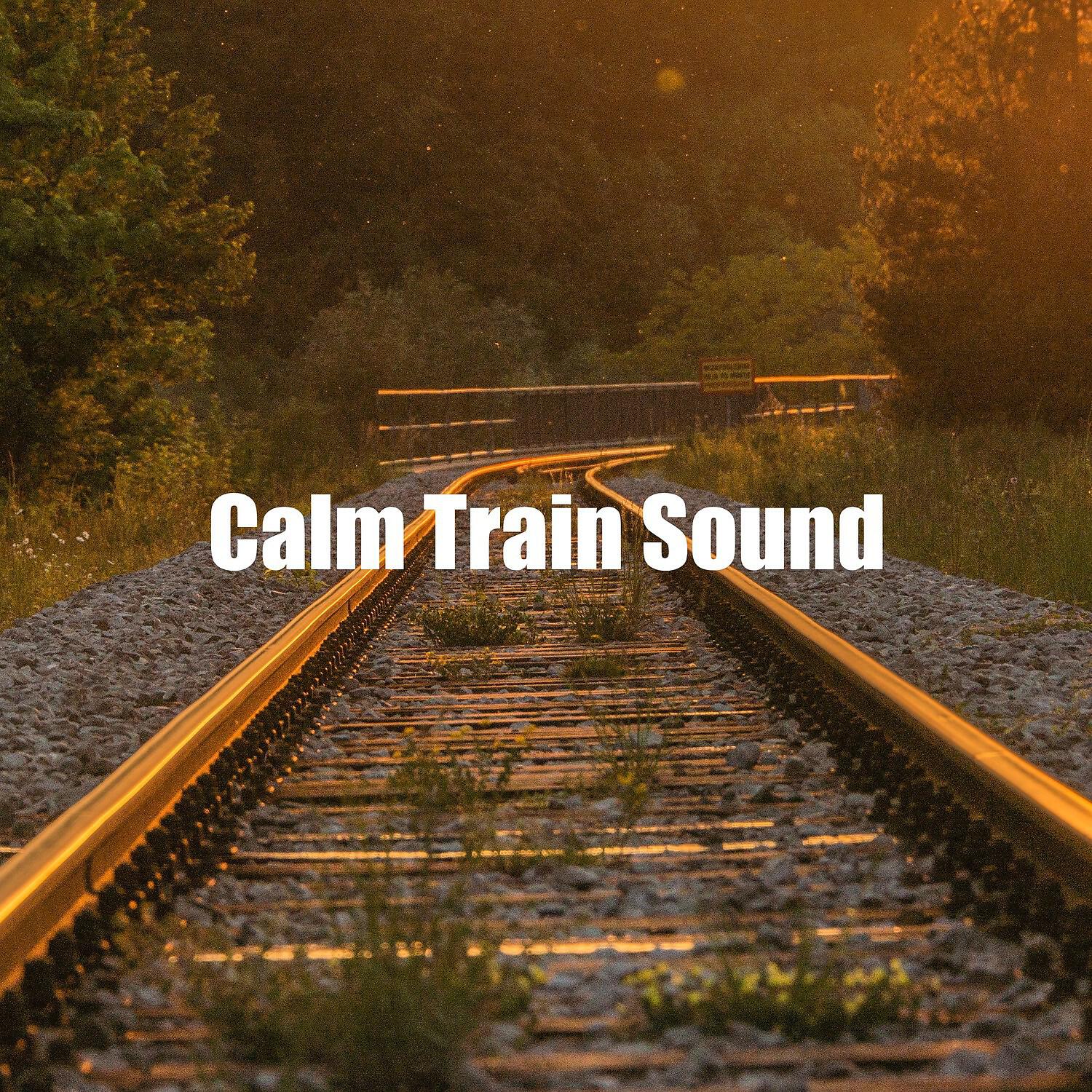 Релиз Calm Train Sound