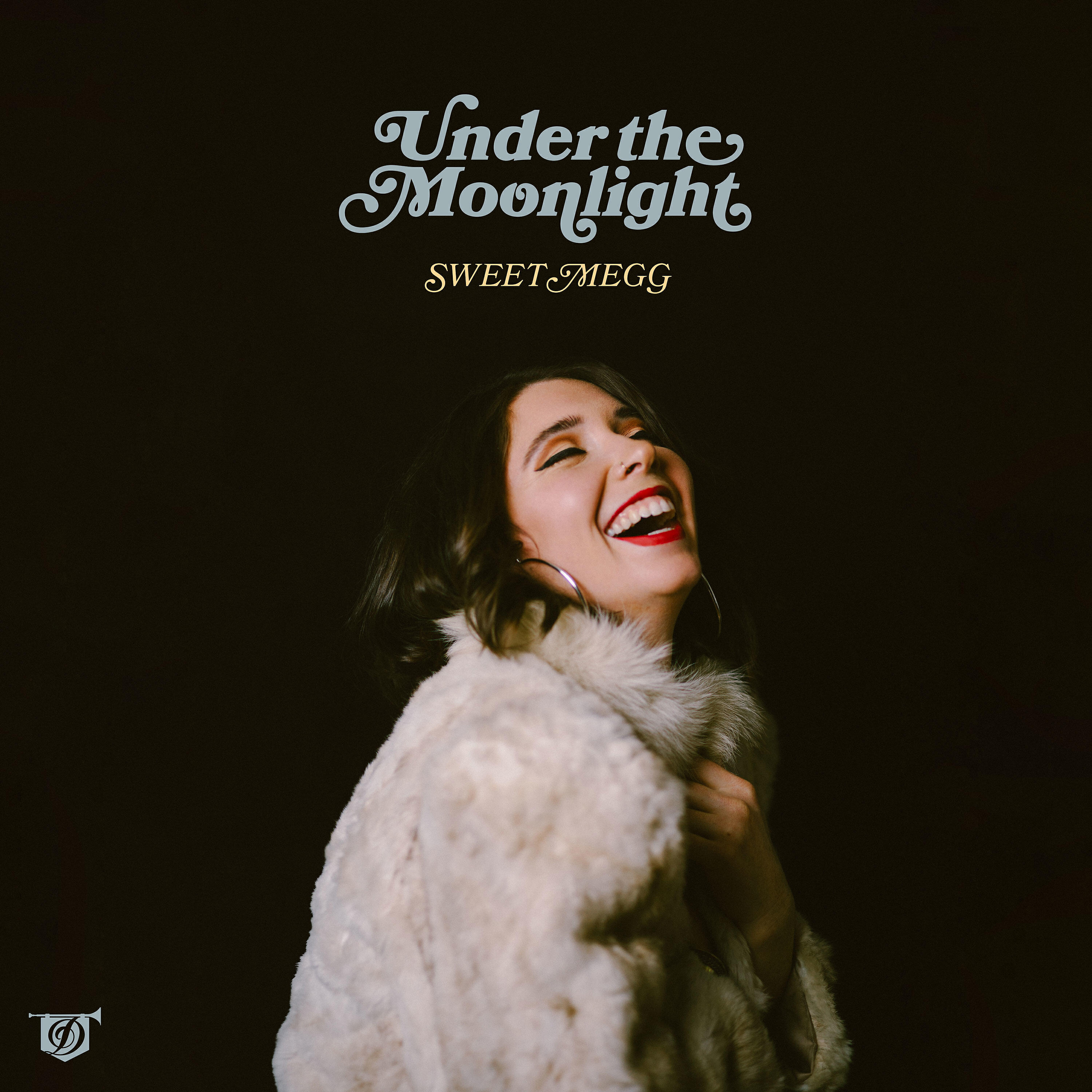 Постер альбома Under the Moonlight