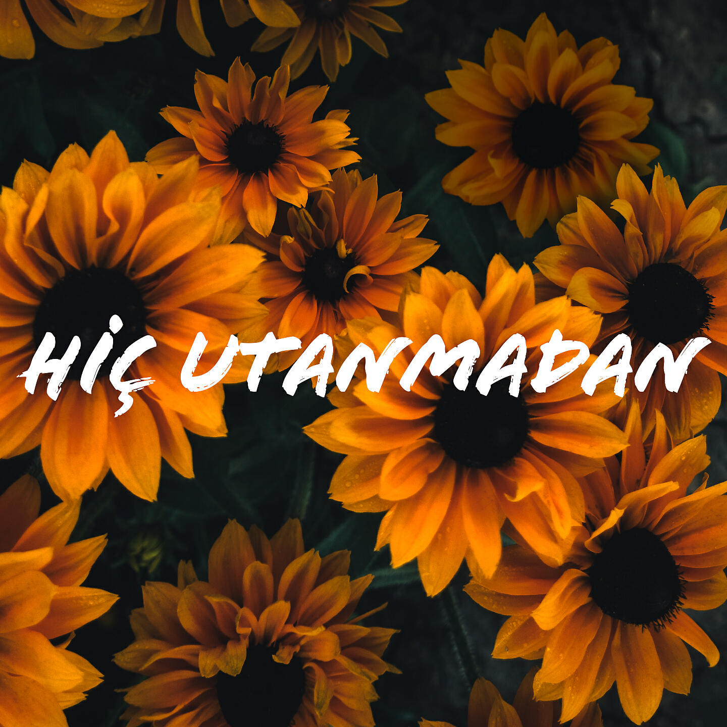 Релиз Hiç Utanmadan