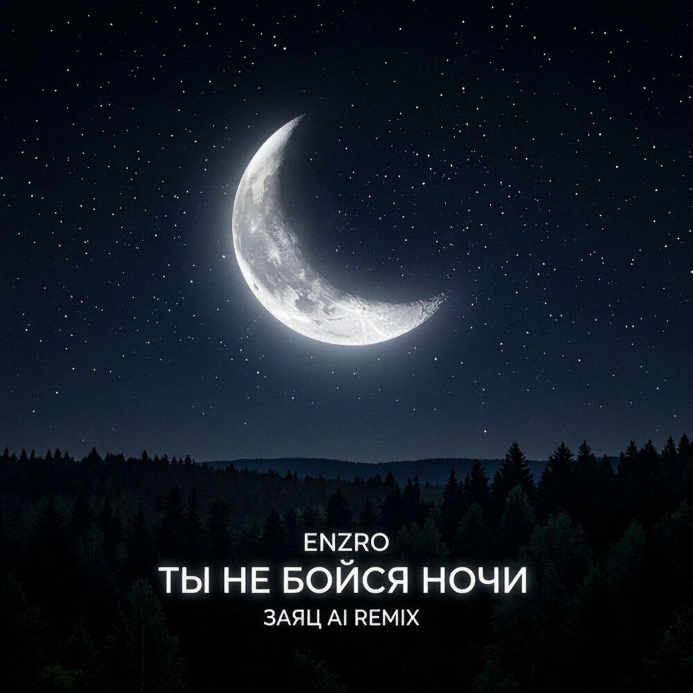Релиз Ты не бойся ночи (Заяц Ai remix)
