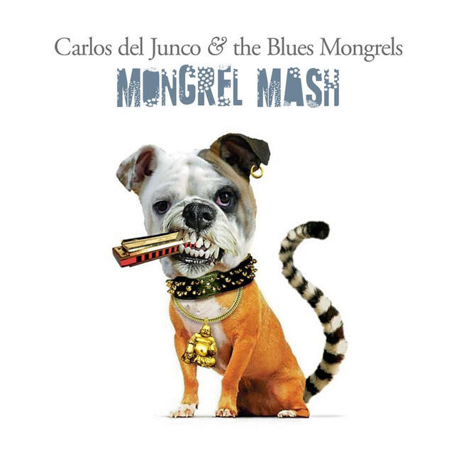 Релиз Mongrel Mash