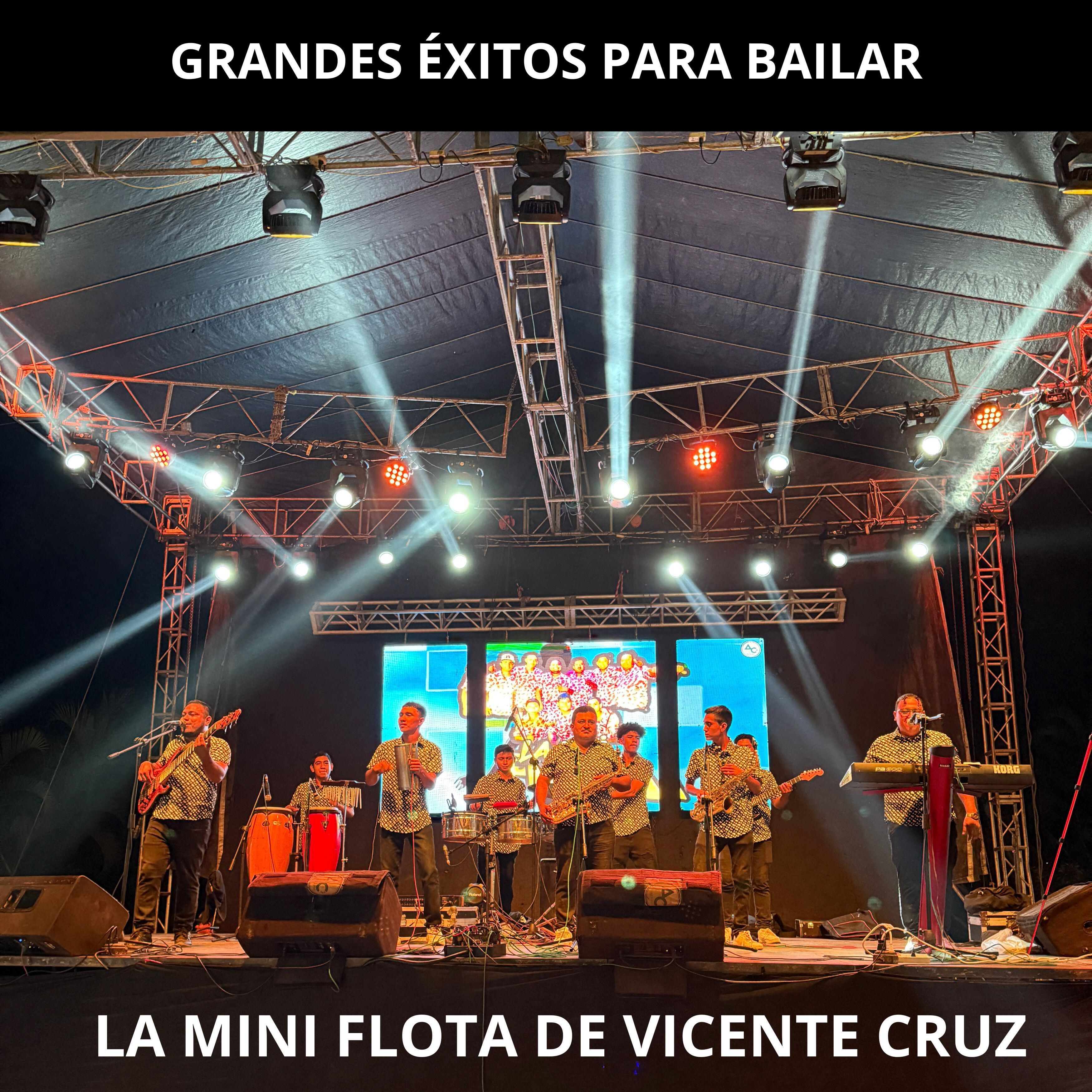Релиз Grandes Éxitos para Bailar