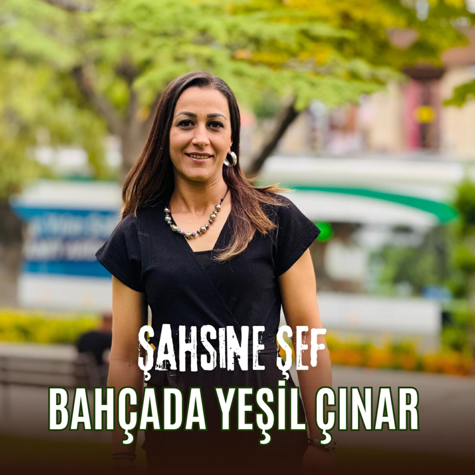 Şahsine Şef