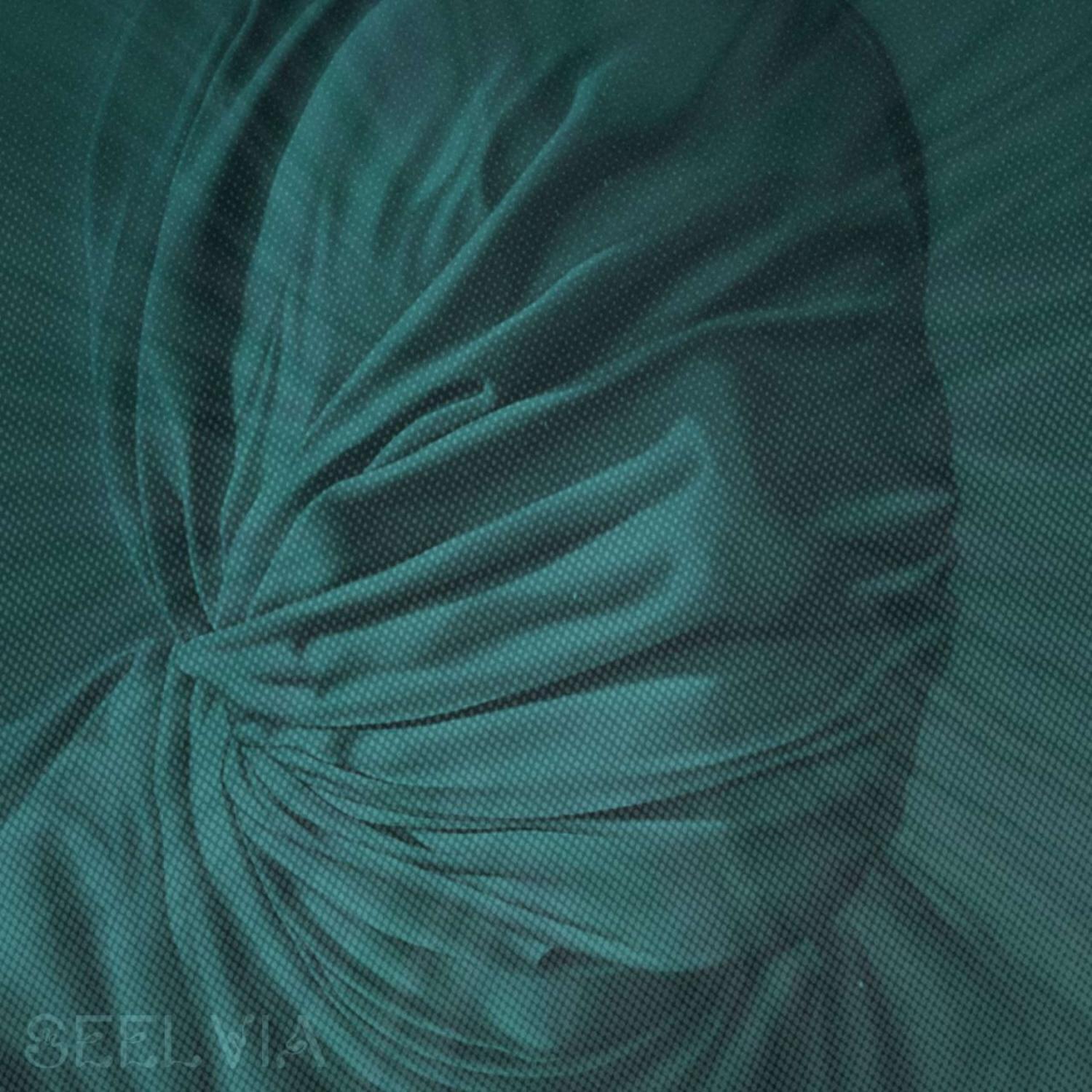 Seelvia