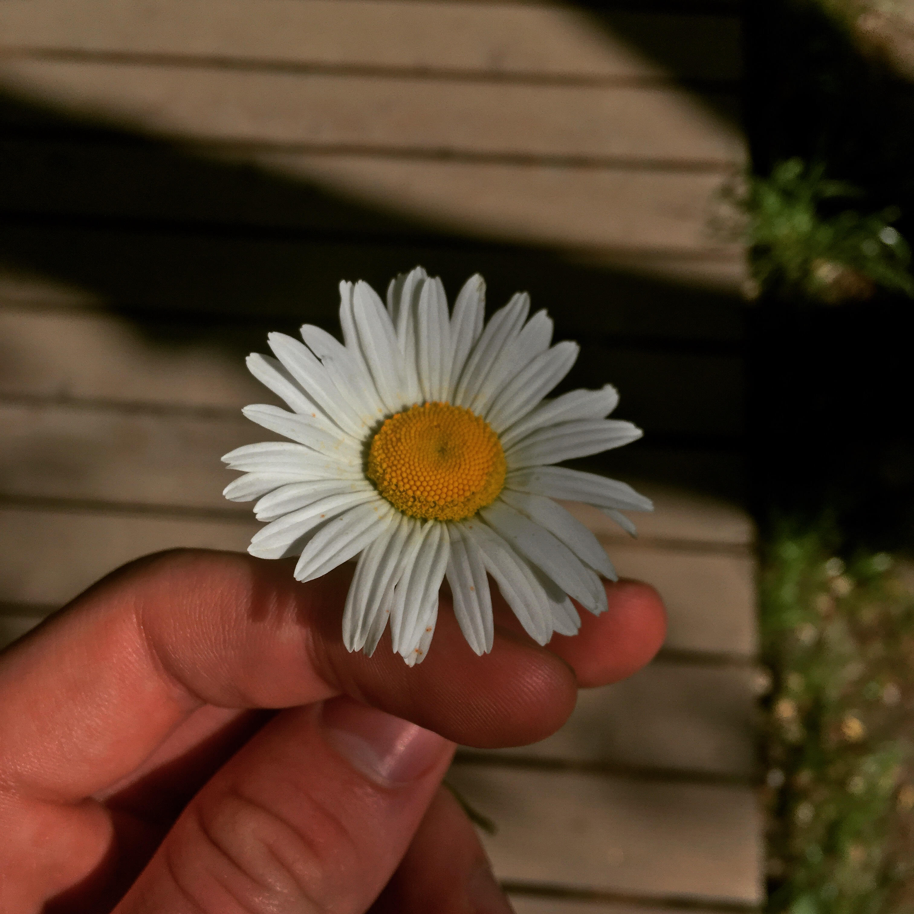 Релиз Game Over