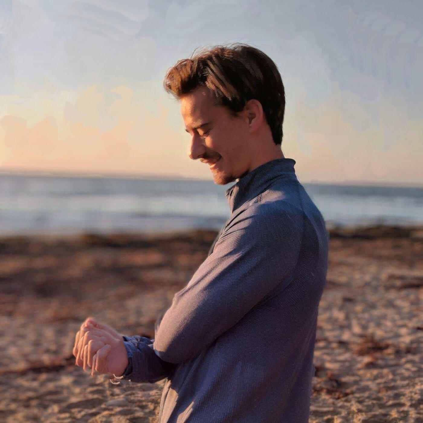 Релиз The Birds