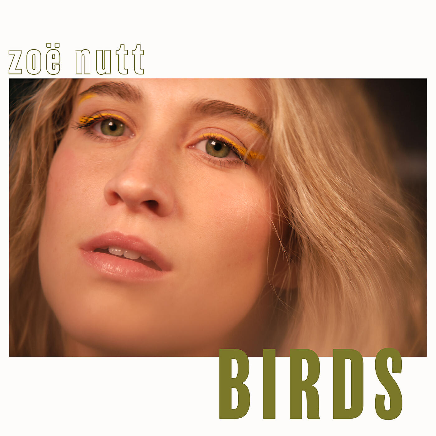 Релиз Birds