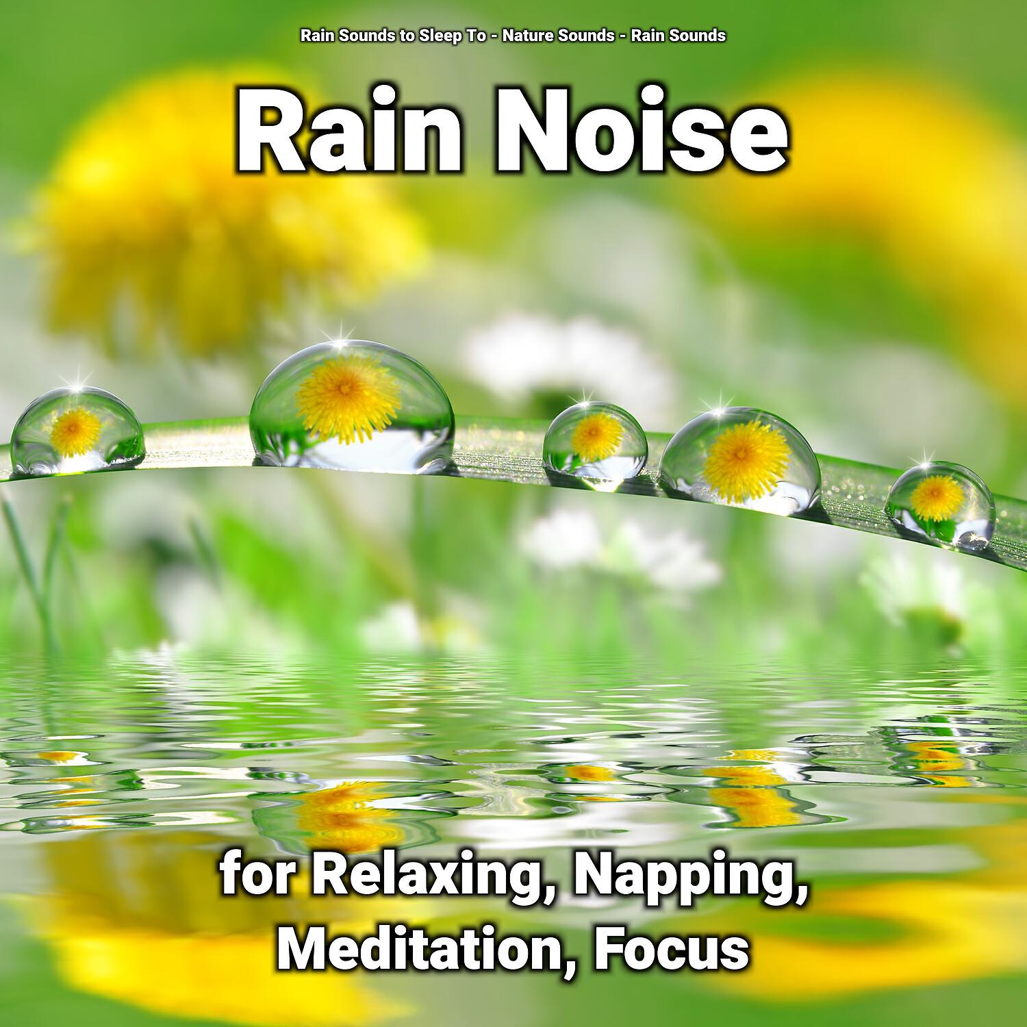 Релиз Rain Noise for Relaxing, Napping, Meditation, Focus