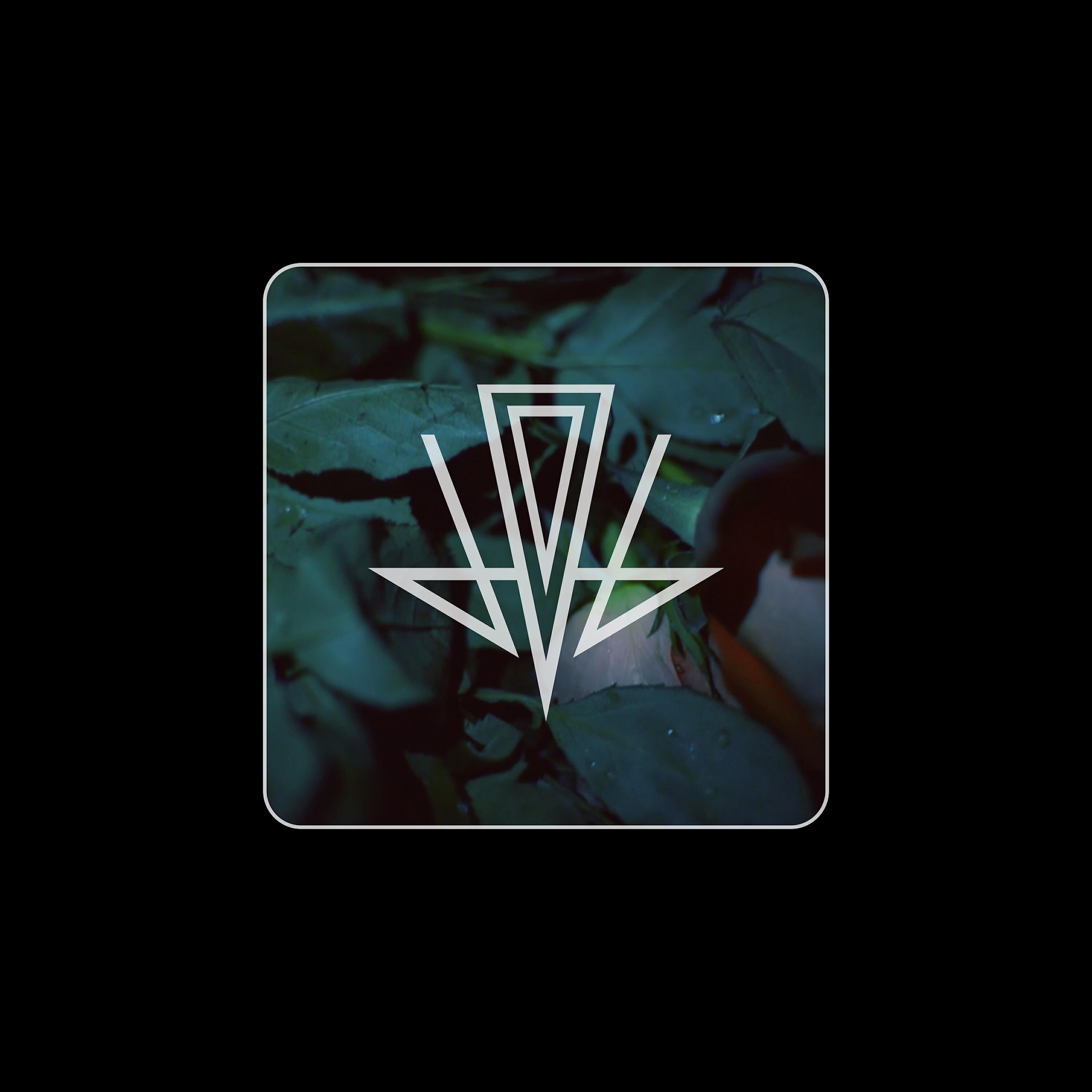 Релиз Separate