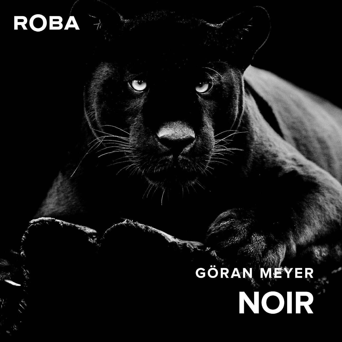 Релиз Noir