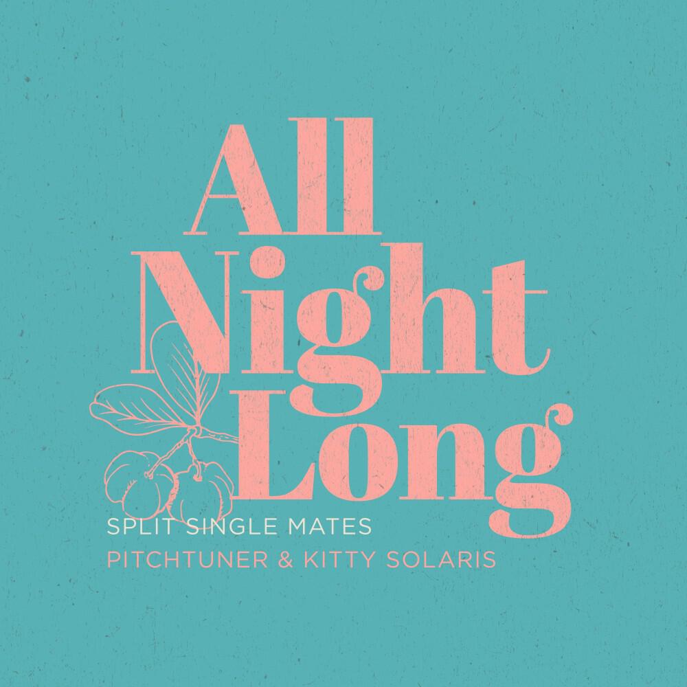 Релиз All Night Long (Split-Single-Mates)