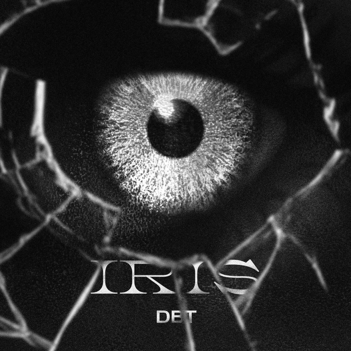 Релиз IRIS