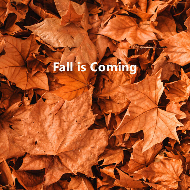 Постер альбома Fall is Coming