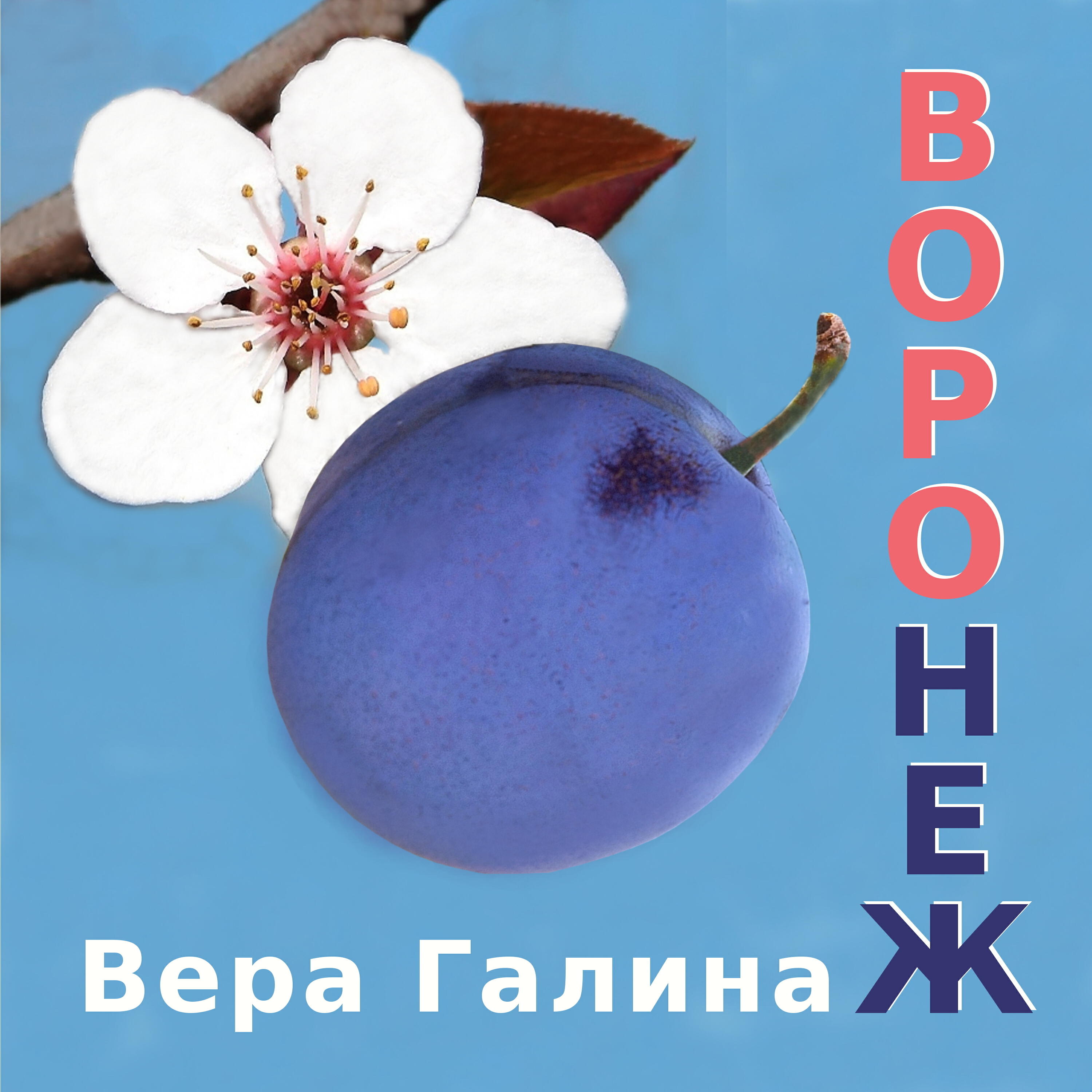 Постер альбома Воронеж