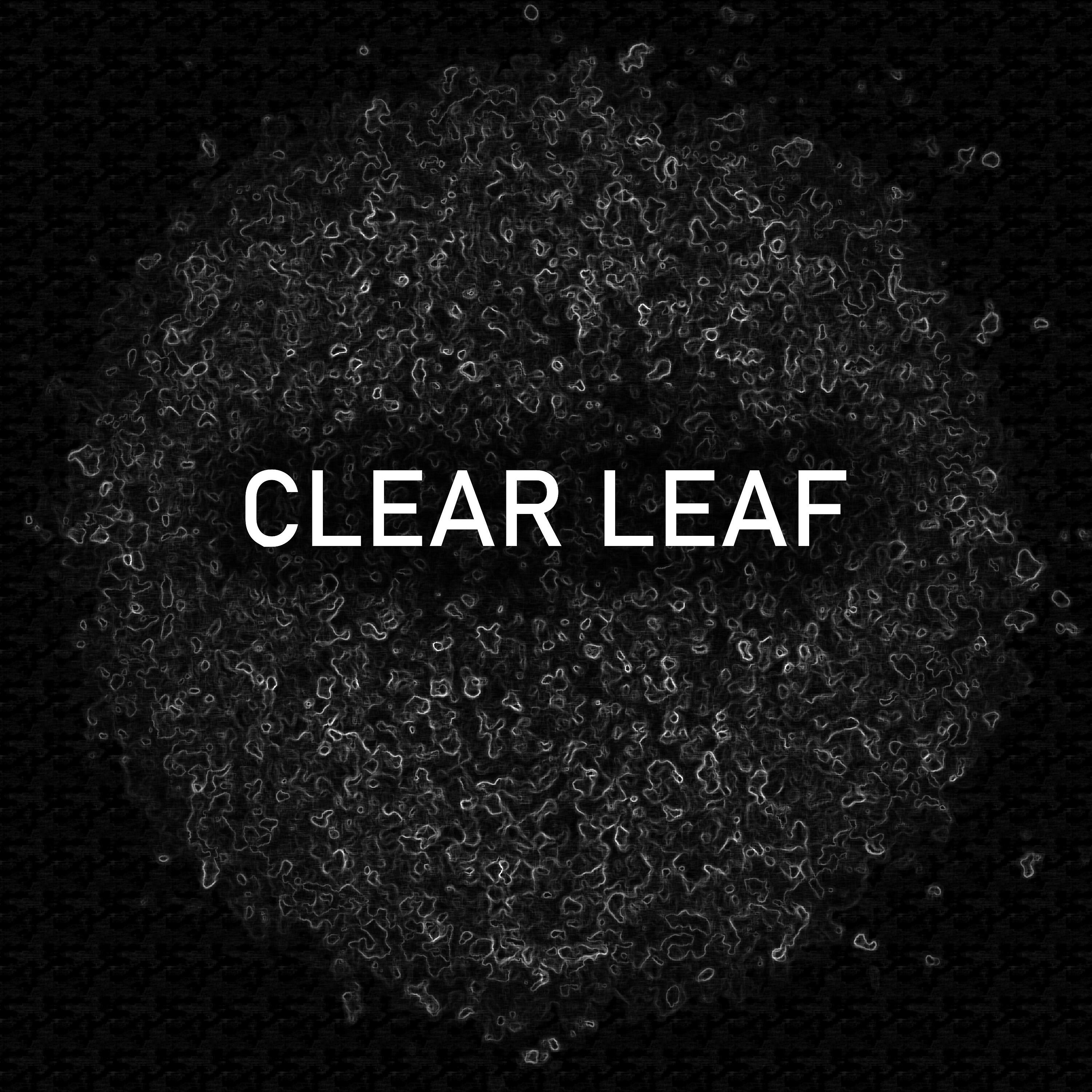 Релиз Clear Leaf