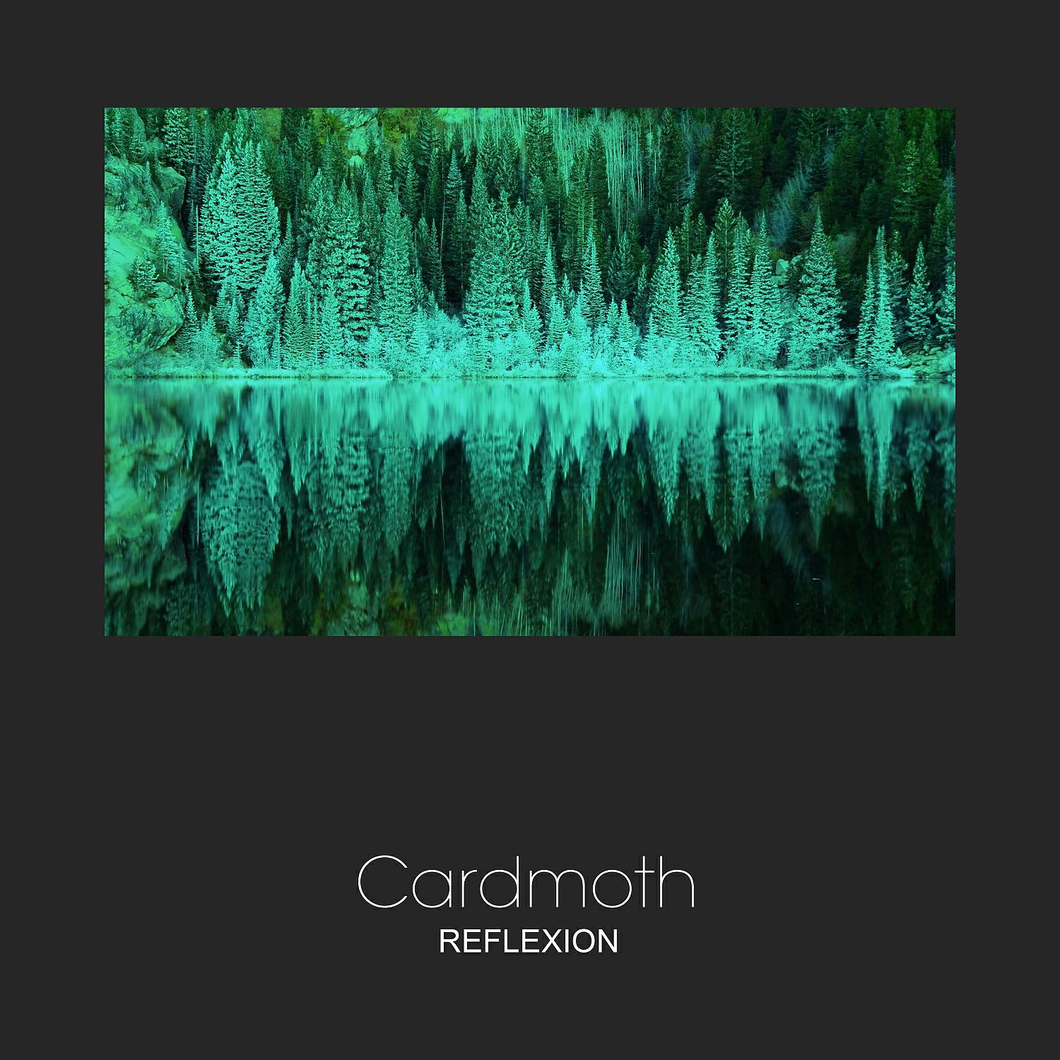 Релиз Reflexion