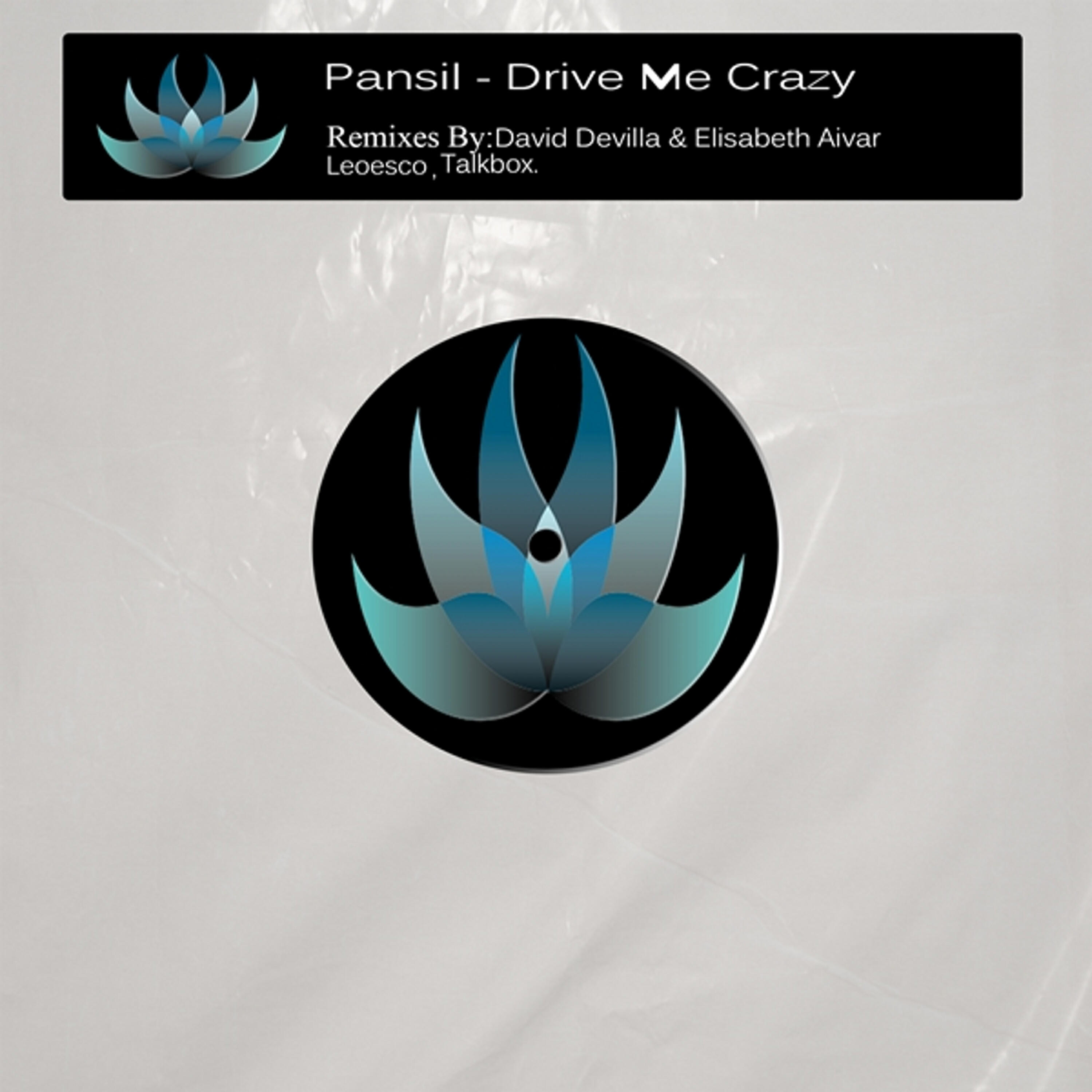 Релиз Drive Me Crazy