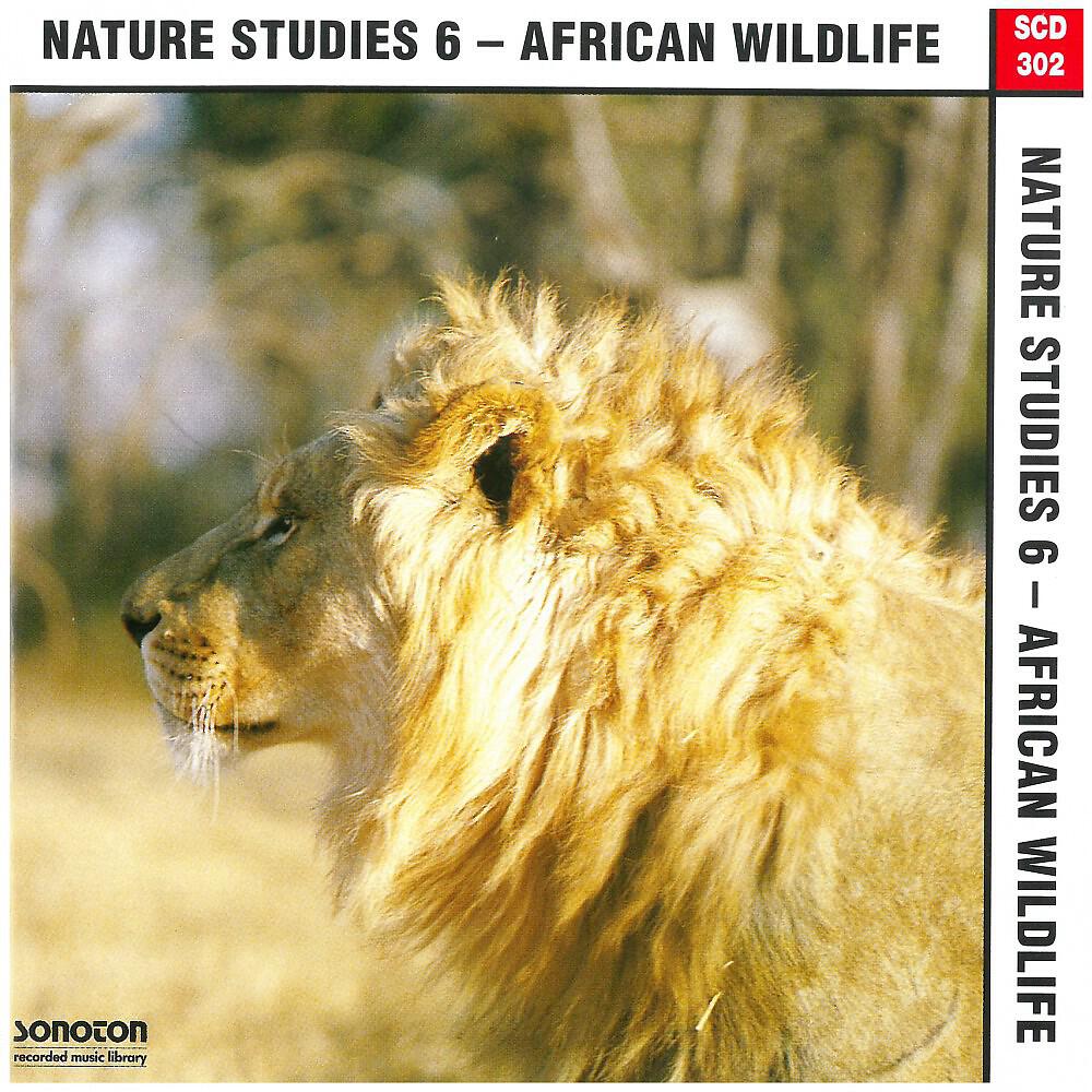 Релиз Nature Studies, Vol. 6: African Wildlife