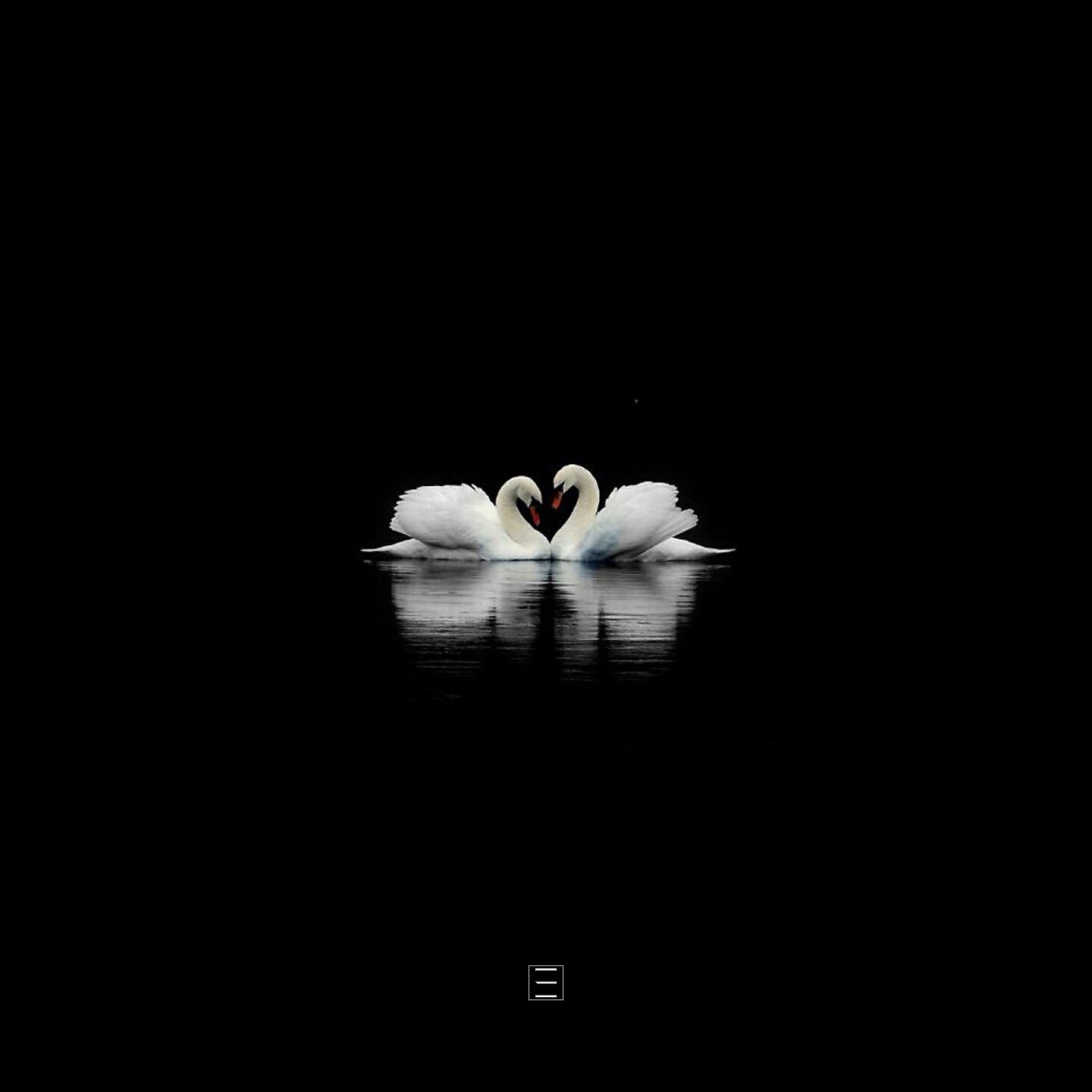 Релиз Swan Lake