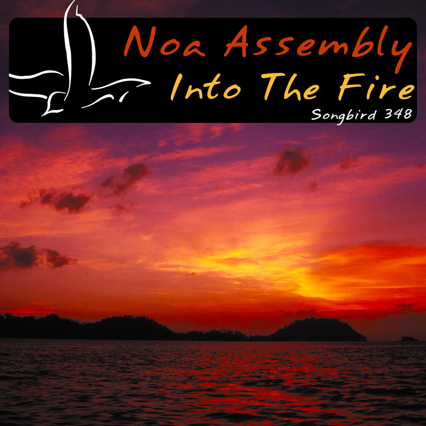 Релиз Into the Fire