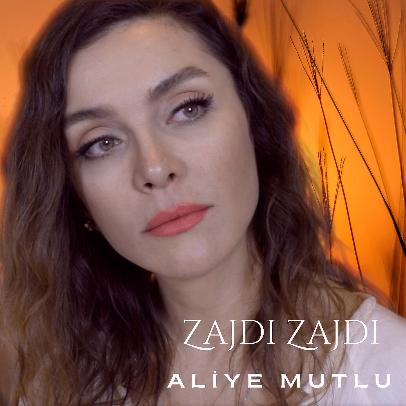 Релиз Zajdi Zajdi